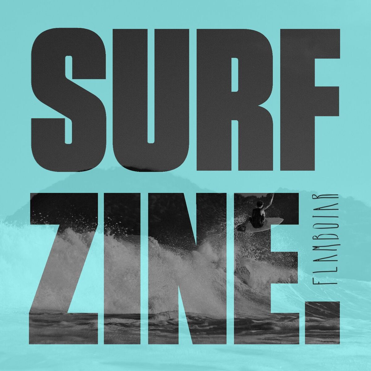 Show cover of Surf Zine