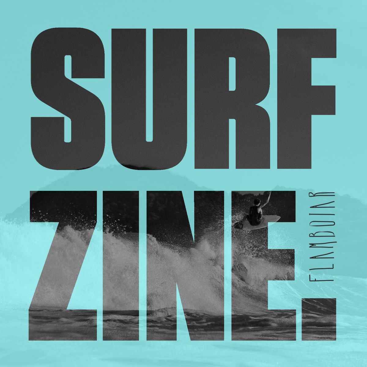 Show cover of Surf Zine