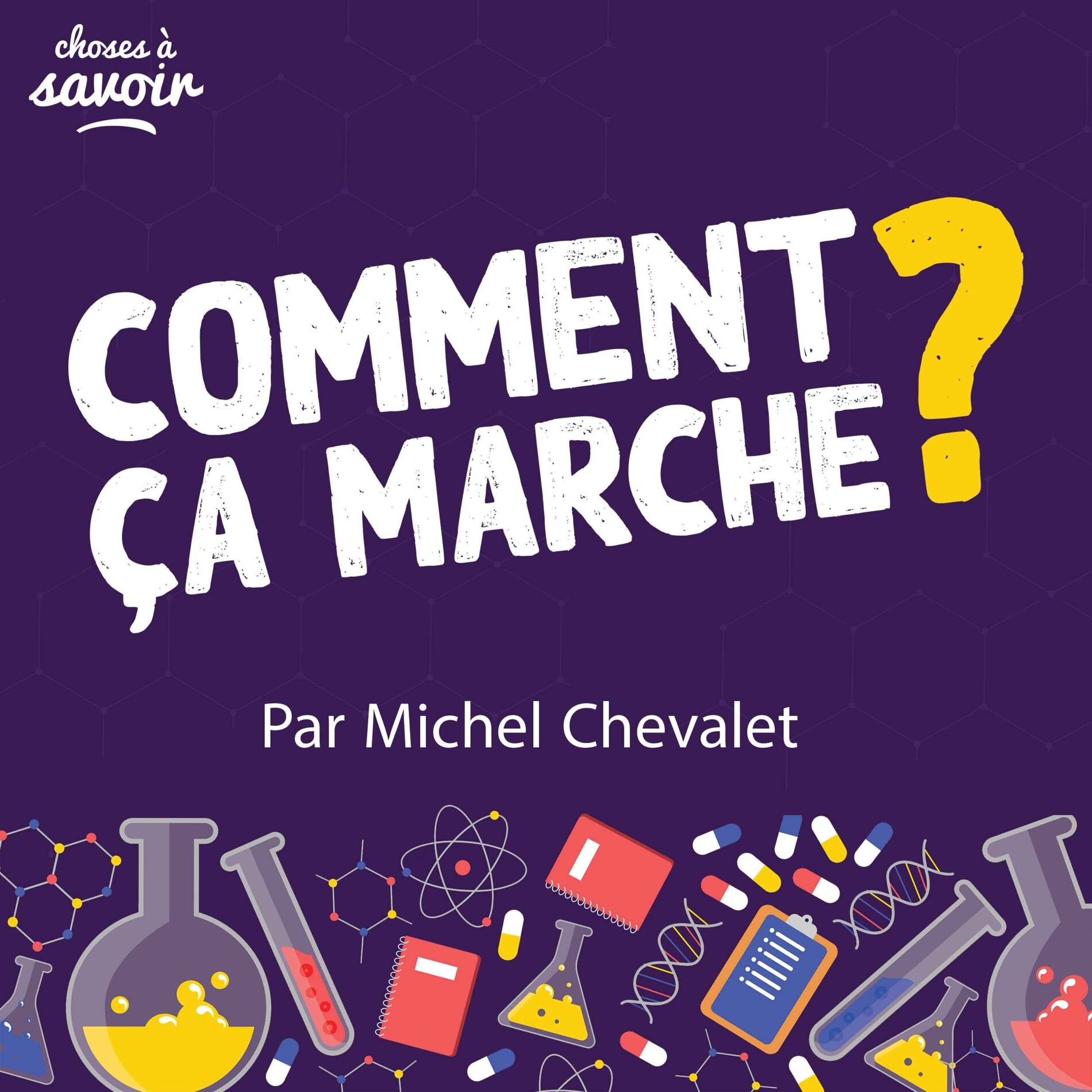 Show cover of Comment ça marche ? par Michel Chevalet