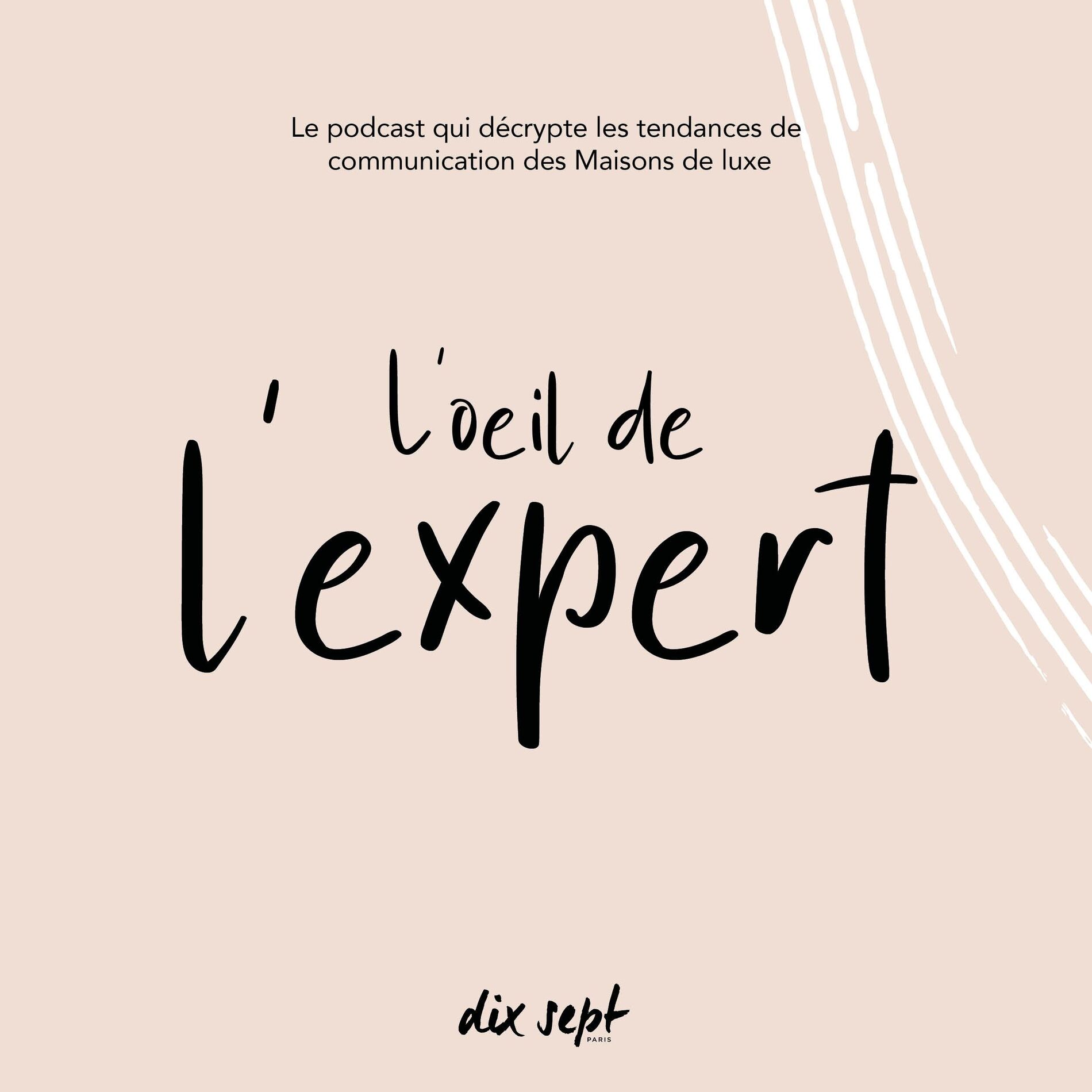 Show cover of L'Oeil de l'expert(e)