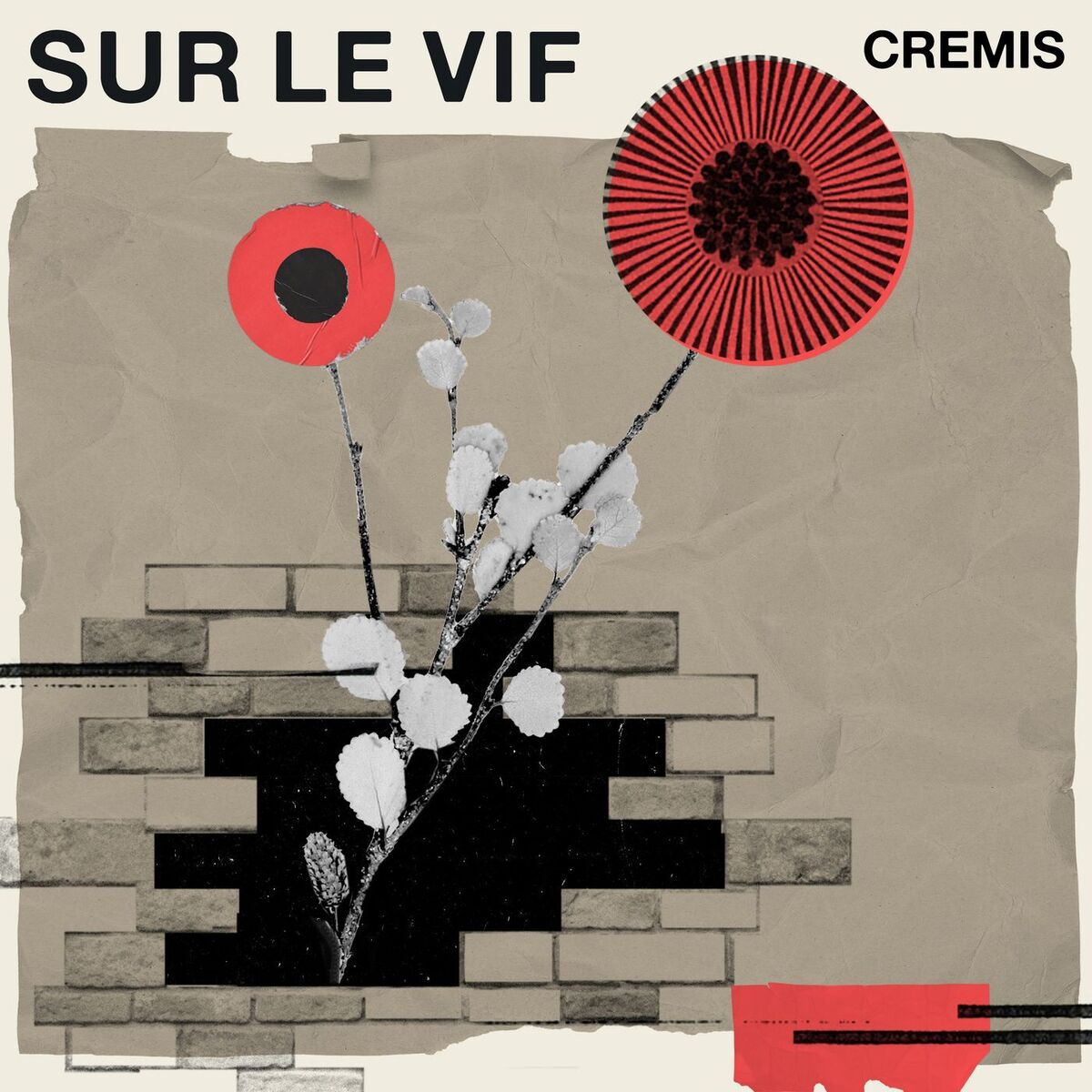 Show cover of Sur le vif - balado du CREMIS