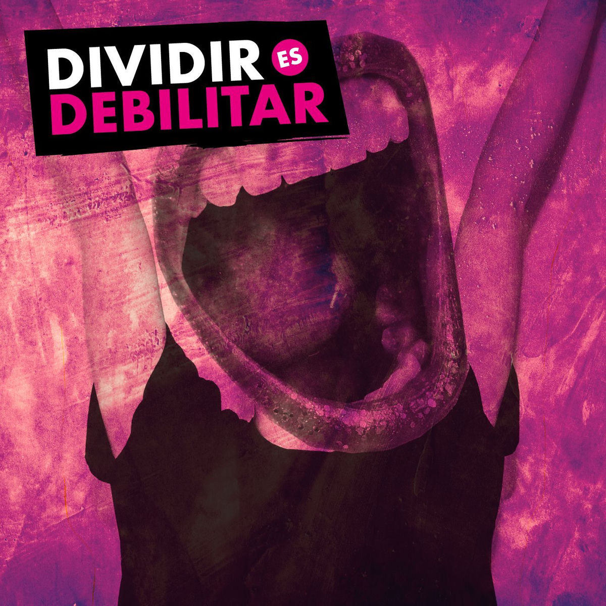Show cover of Dividir es Debilitar