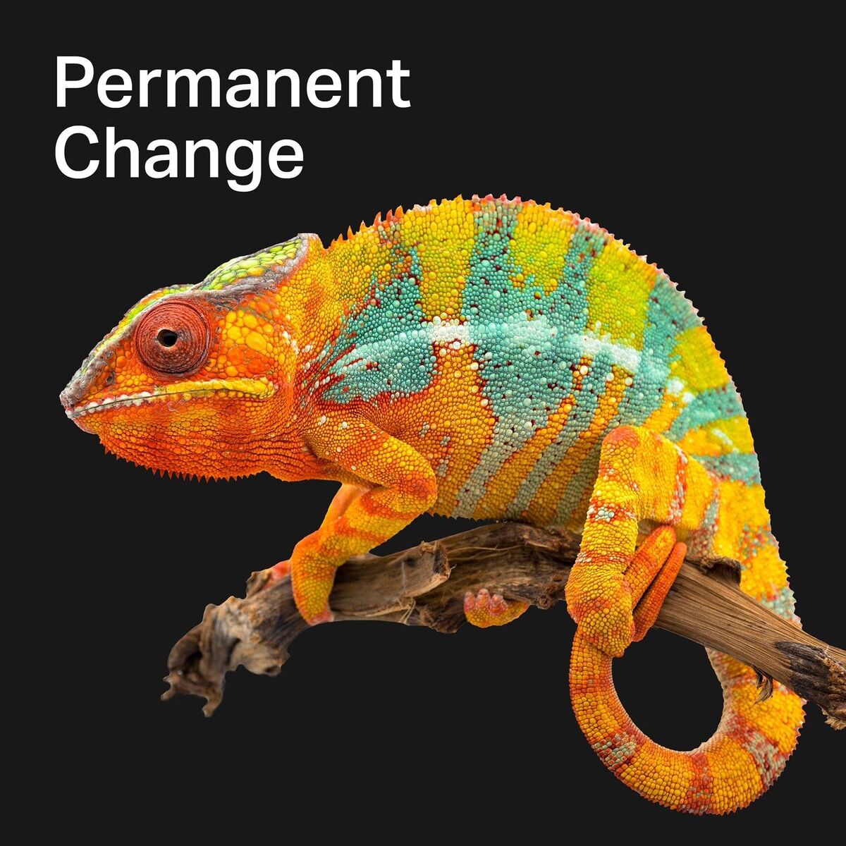 Show cover of Permanent Change - Selbstbestimmt in die Zukunft