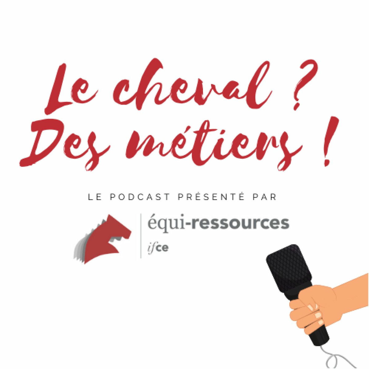 Show cover of Le cheval ? Des métiers !