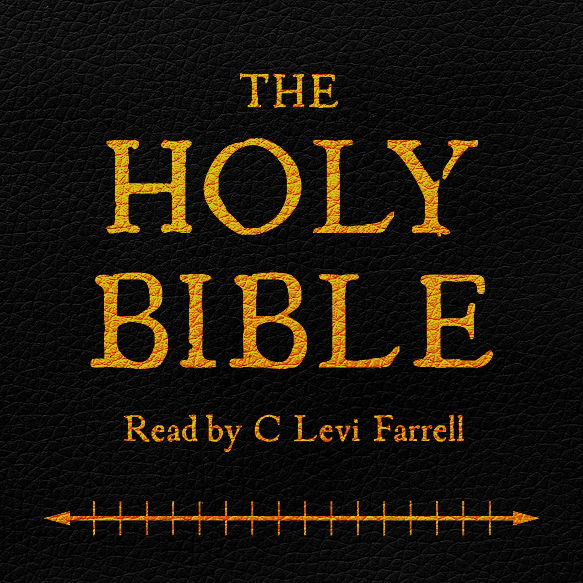 Show cover of Daily Scripture: Chronological Bible Readings (KJV)