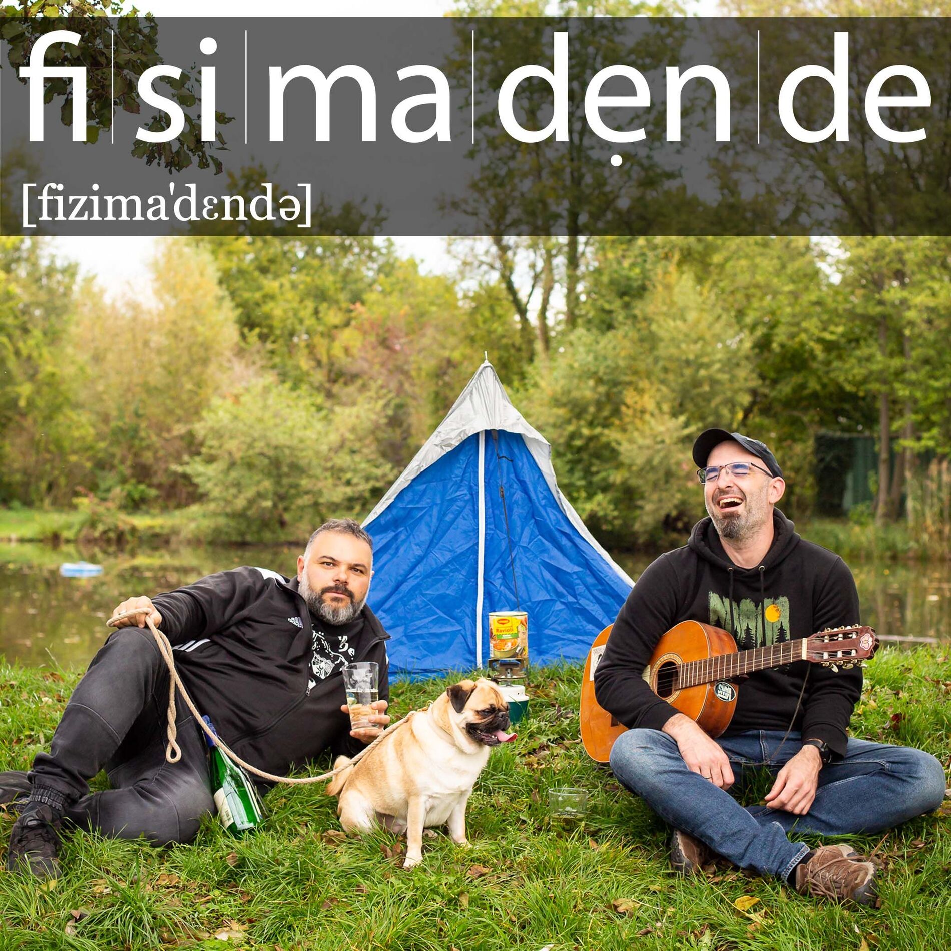 Show cover of Fisimadende
