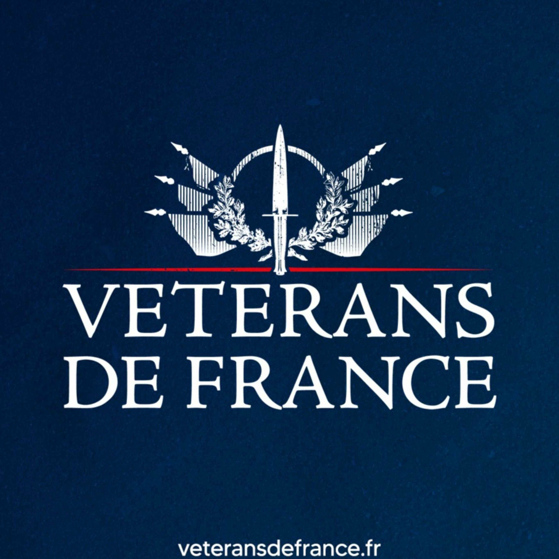 Show cover of Vétérans de France