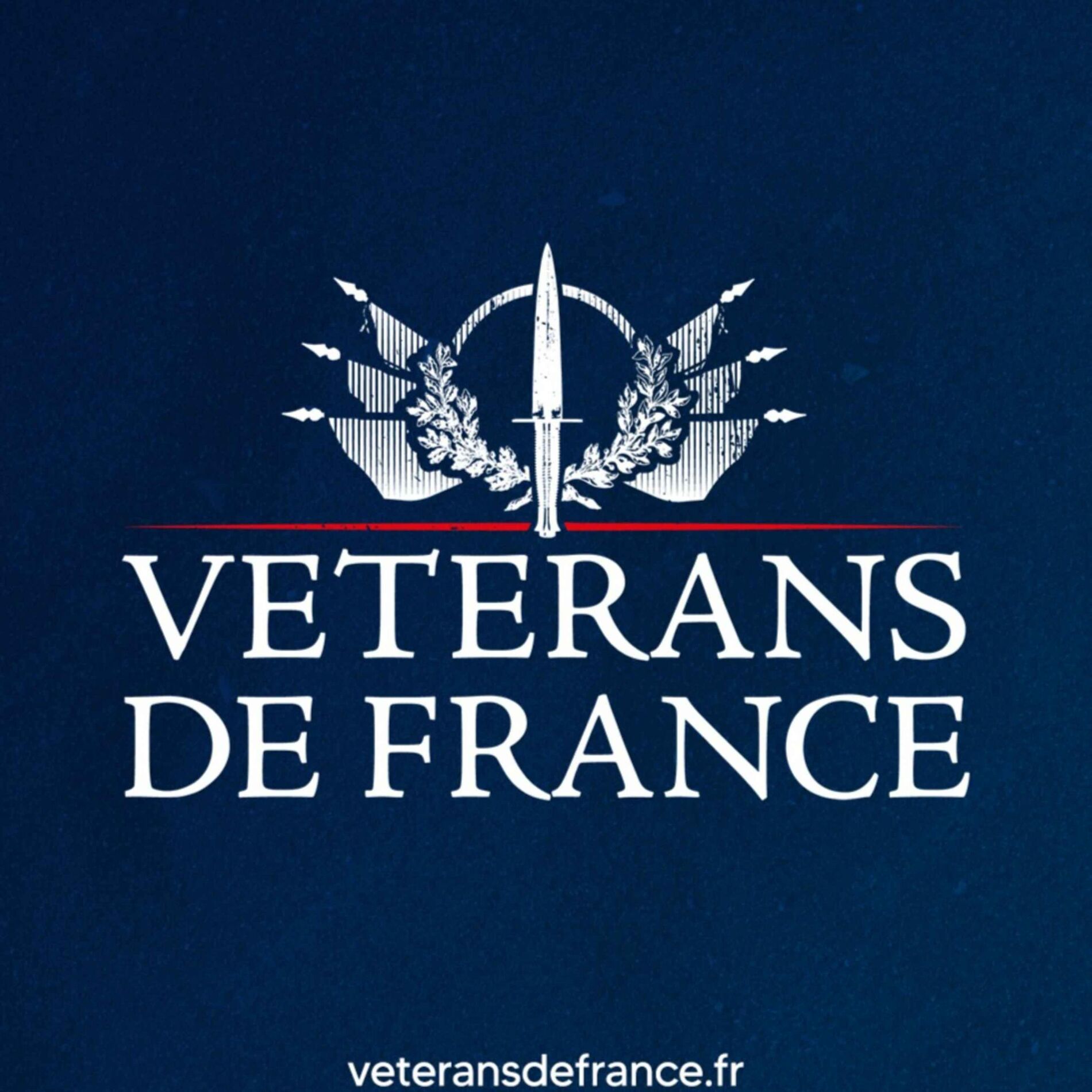 Show cover of Vétérans de France