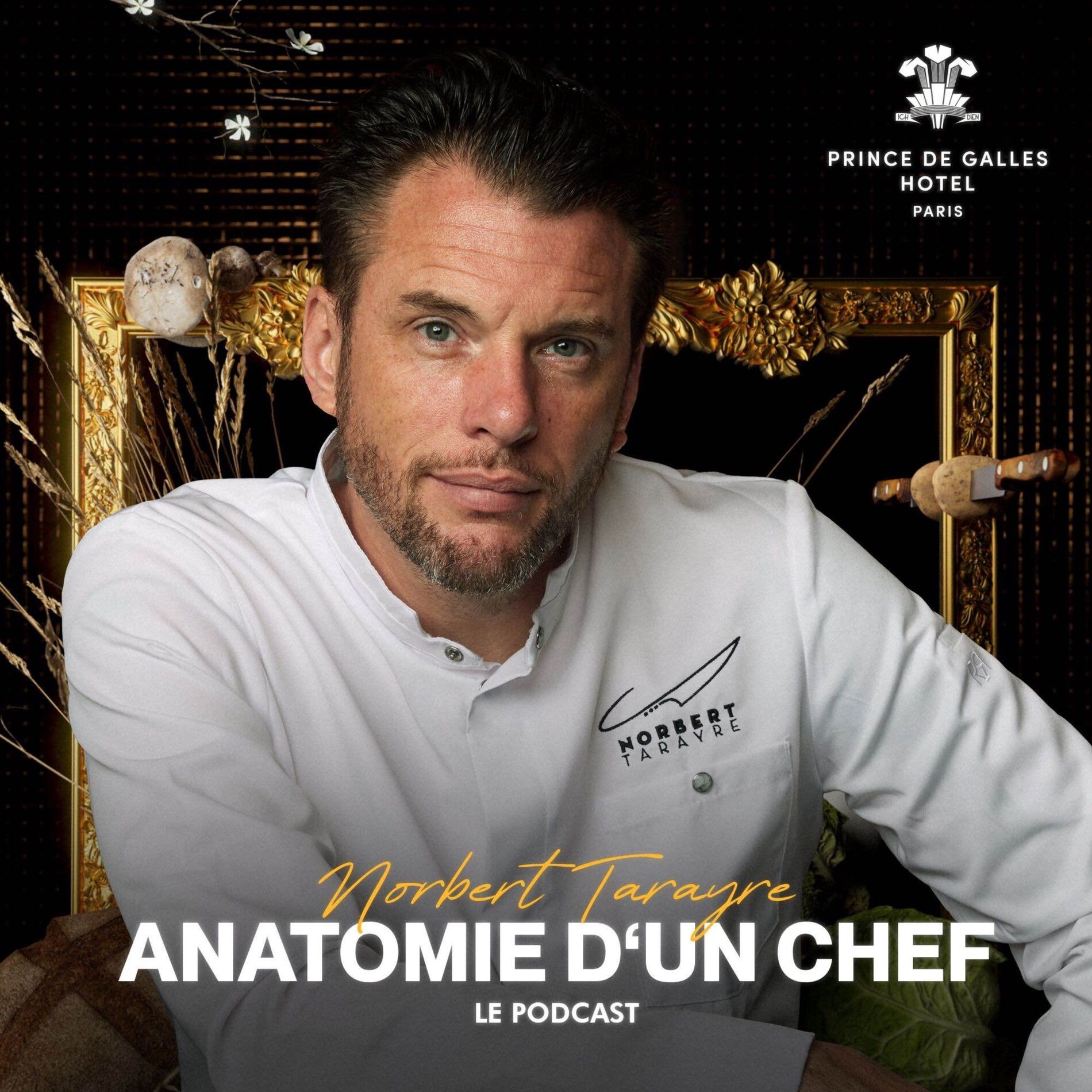 Show cover of Norbert Tarayre : Anatomie d'un Chef