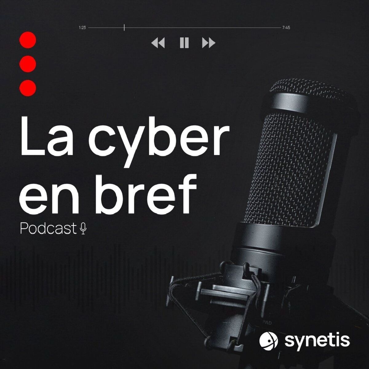 Show cover of La cyber en bref