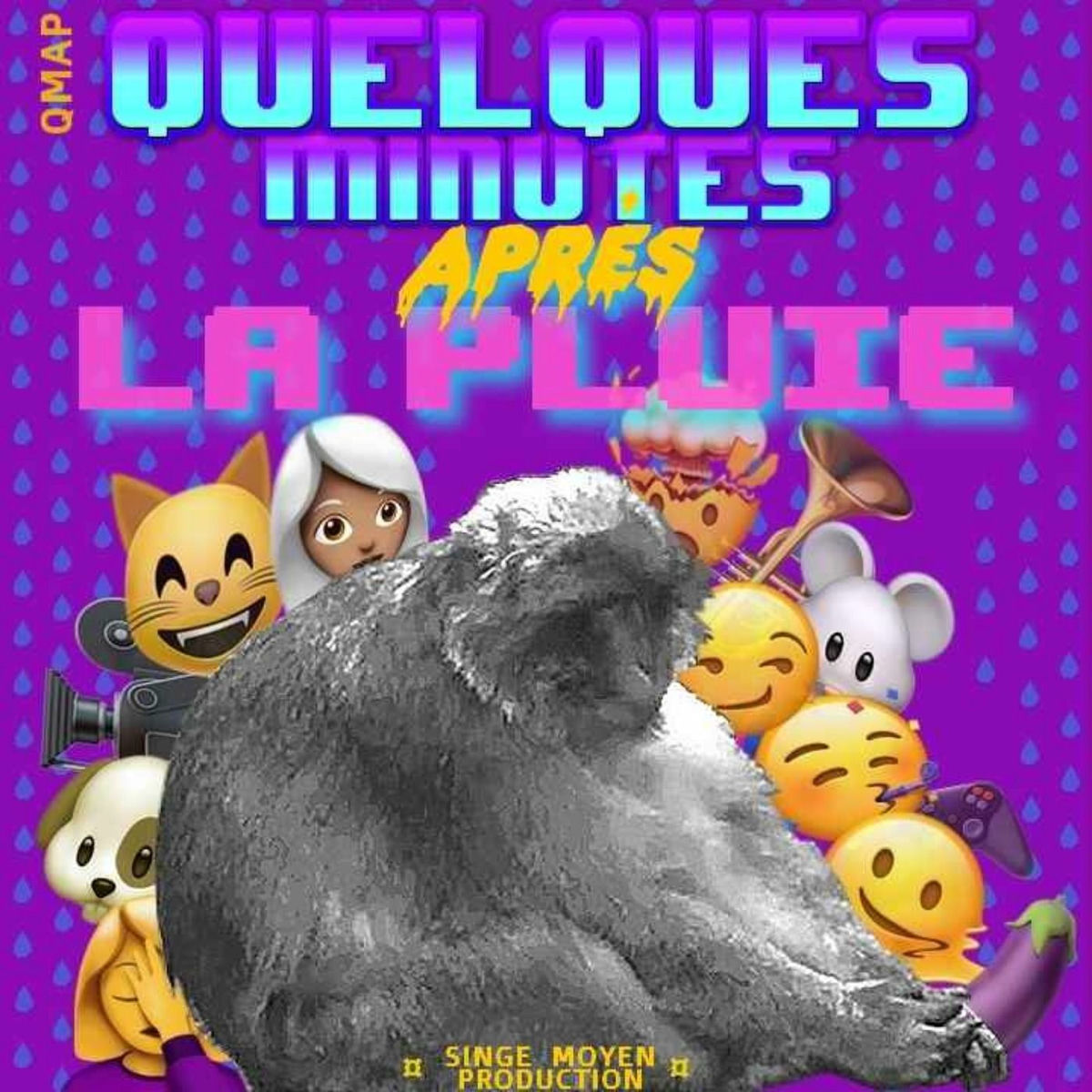 Show cover of QUELQUES MINUTES APRÈS LA PLUIE