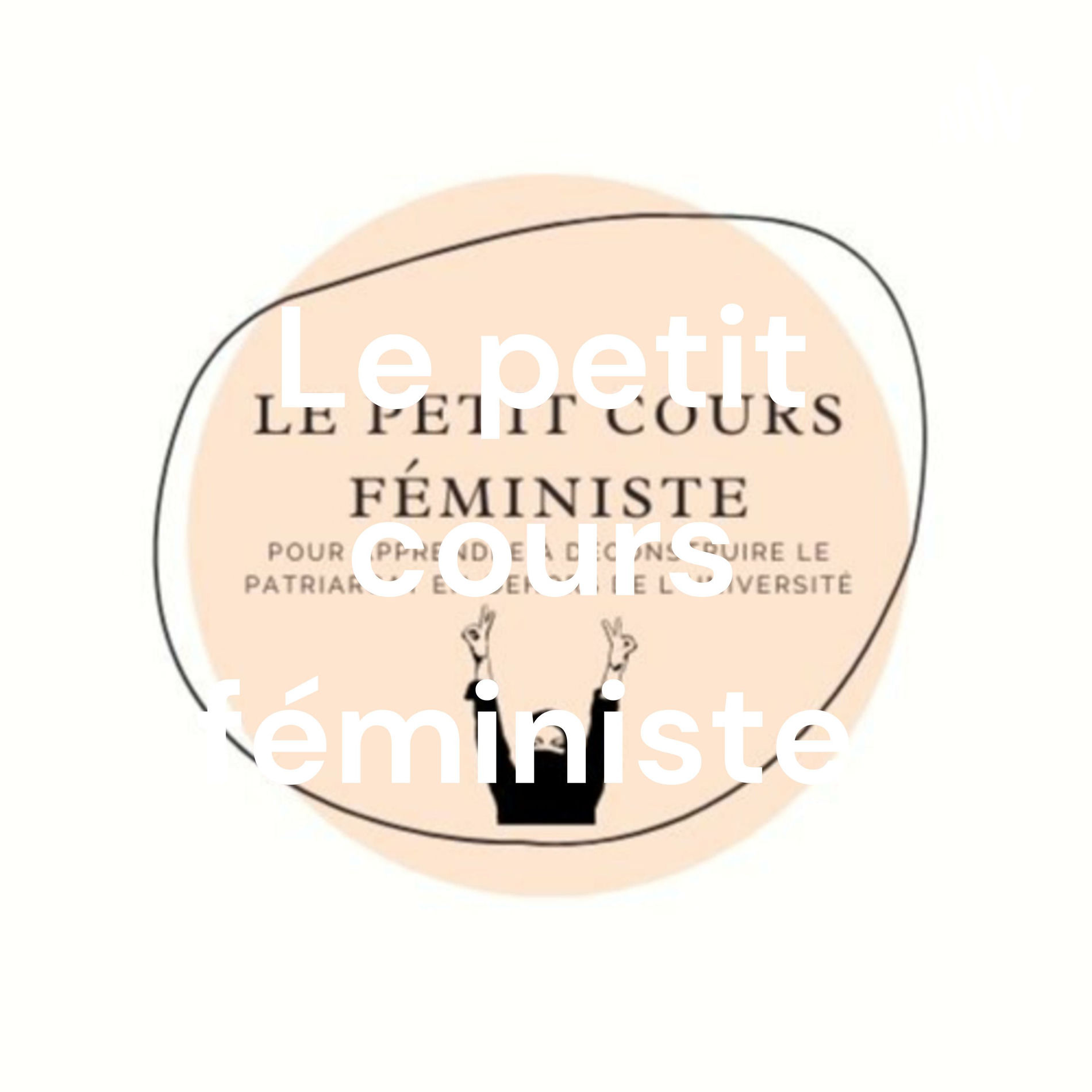 Show cover of Le petit cours féministe
