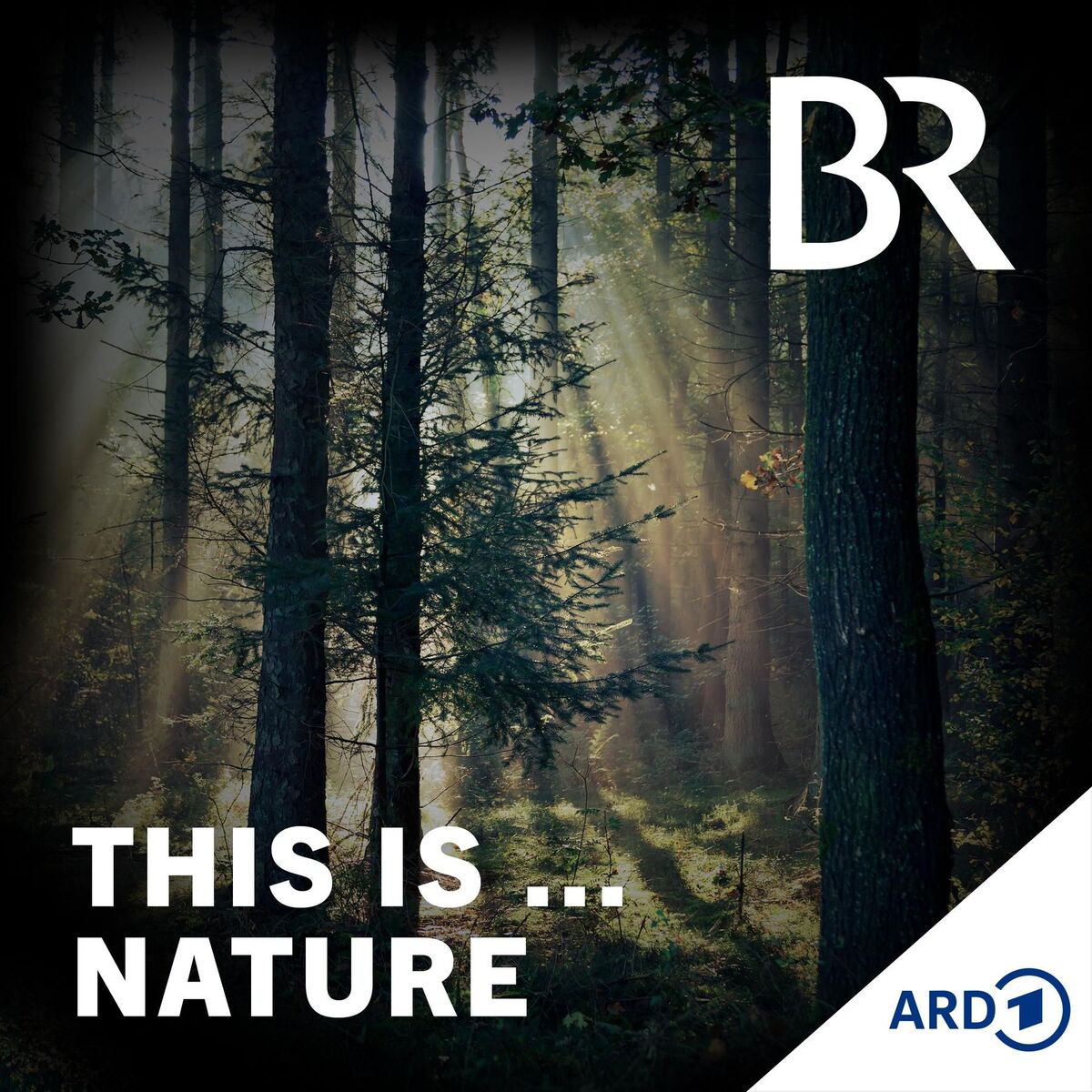 Show cover of This Is Nature
