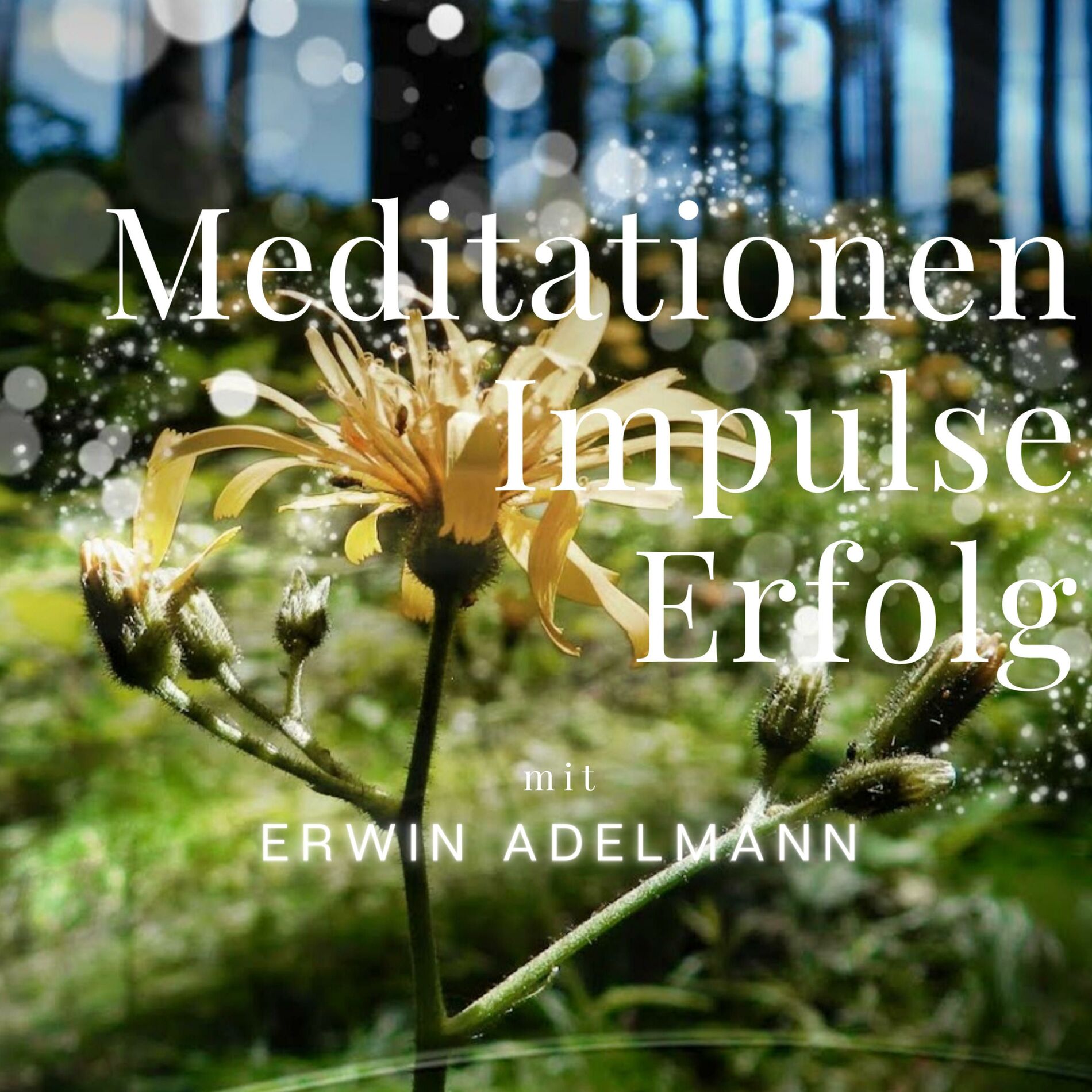 Show cover of Meditationen Impulse Erfolg