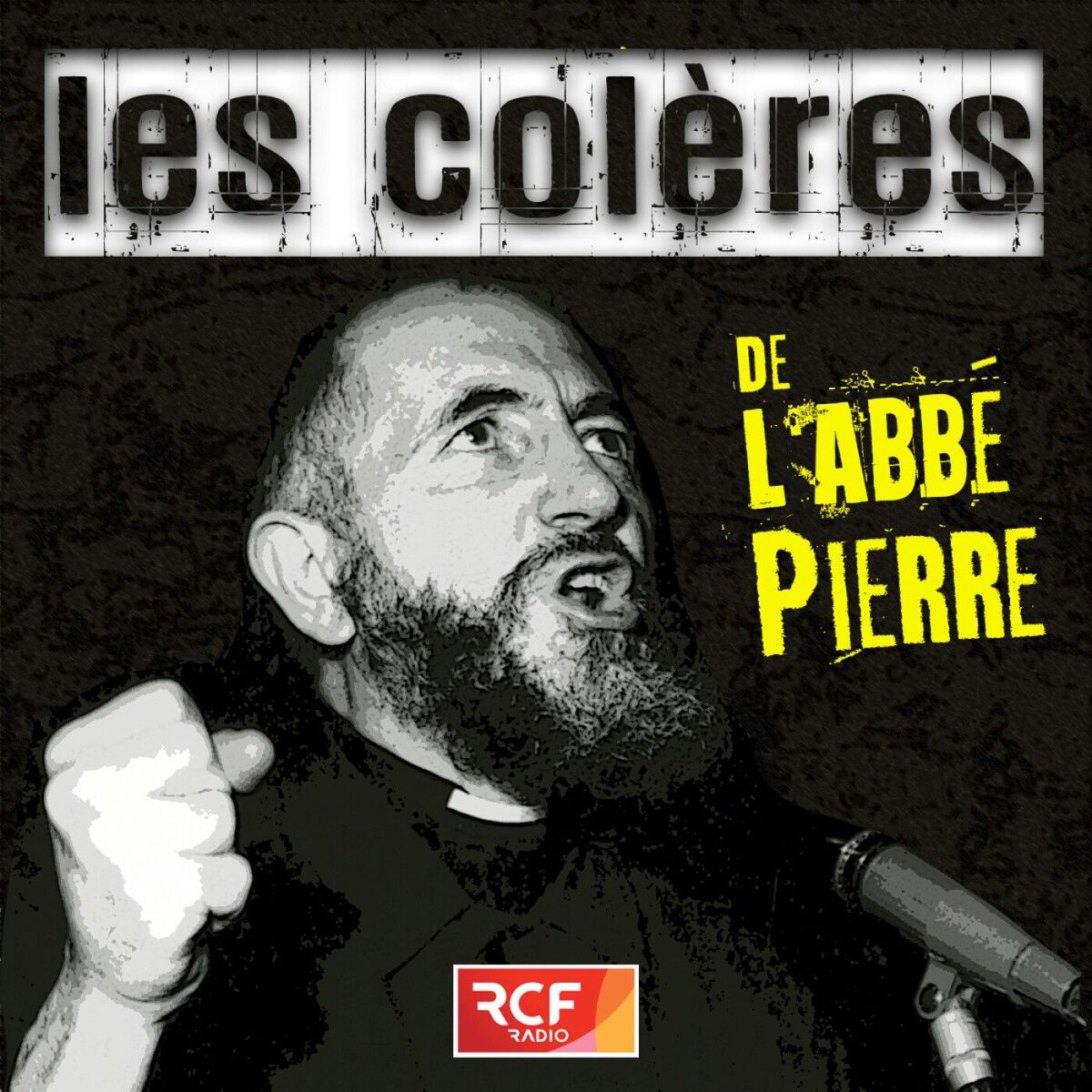 Show cover of Les colères de l'abbé Pierre