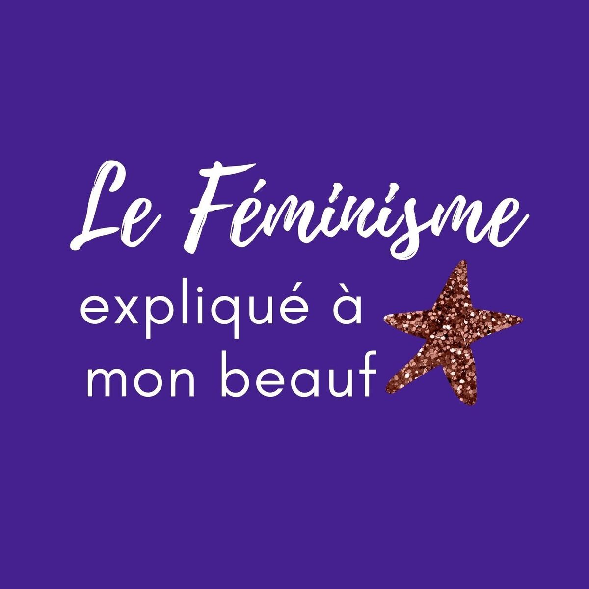 Show cover of Le Féminisme expliqué à mon beauf