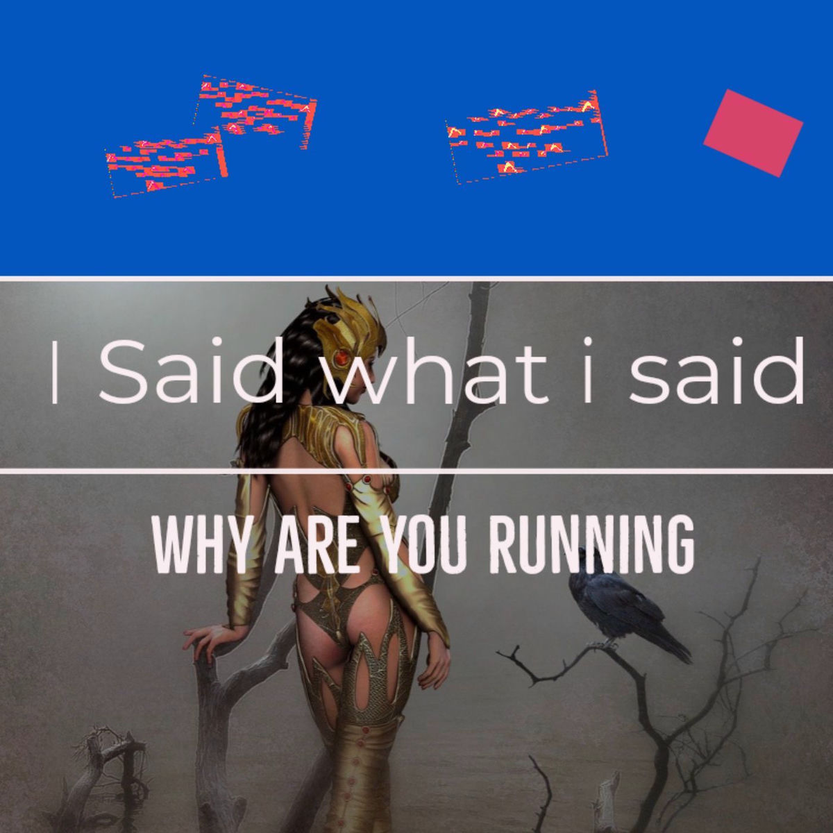 Show cover of I SAID WHAT I SAID - WHY ARE YOU RUNNING
