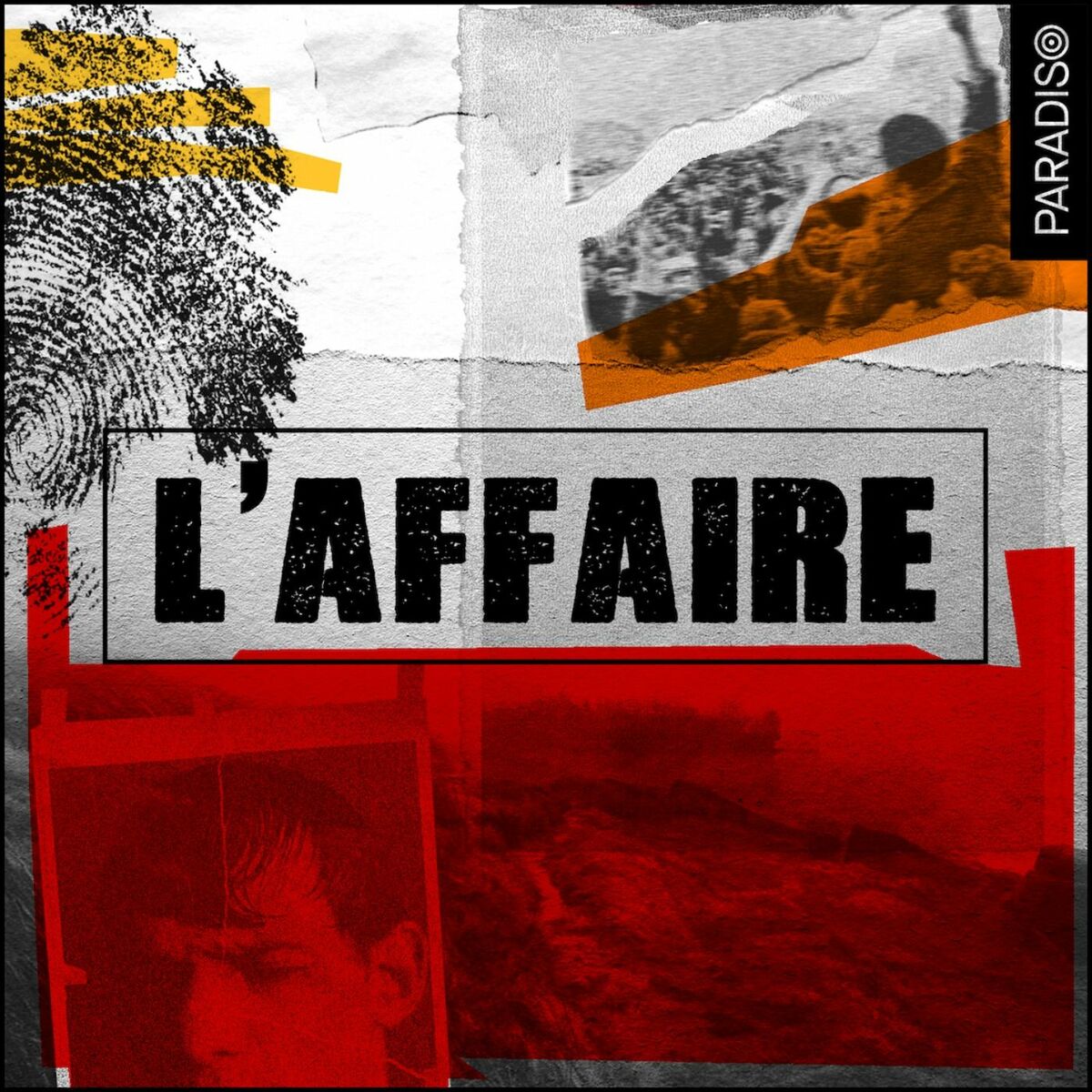 Show cover of L'Affaire