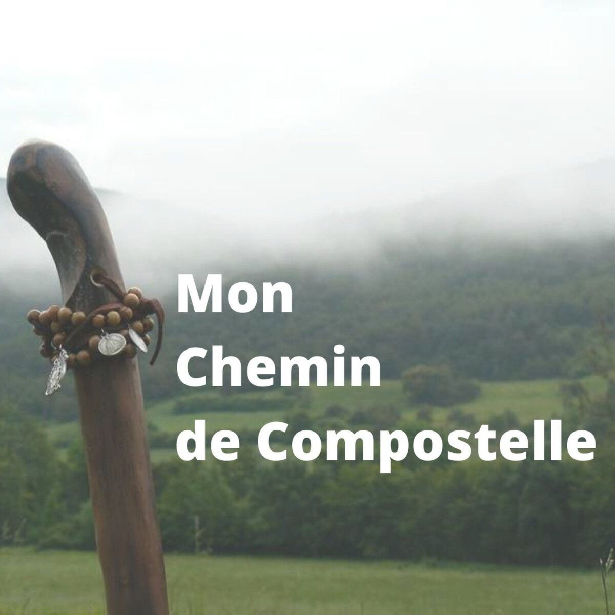 Show cover of Mon Chemin de Compostelle