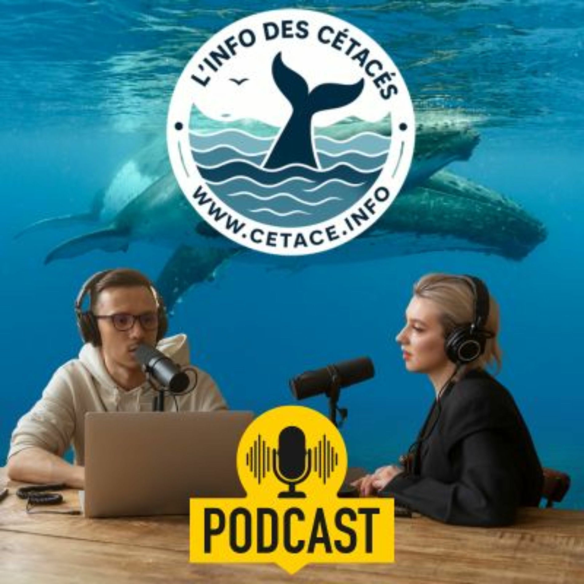 Show cover of L'info des cétacés