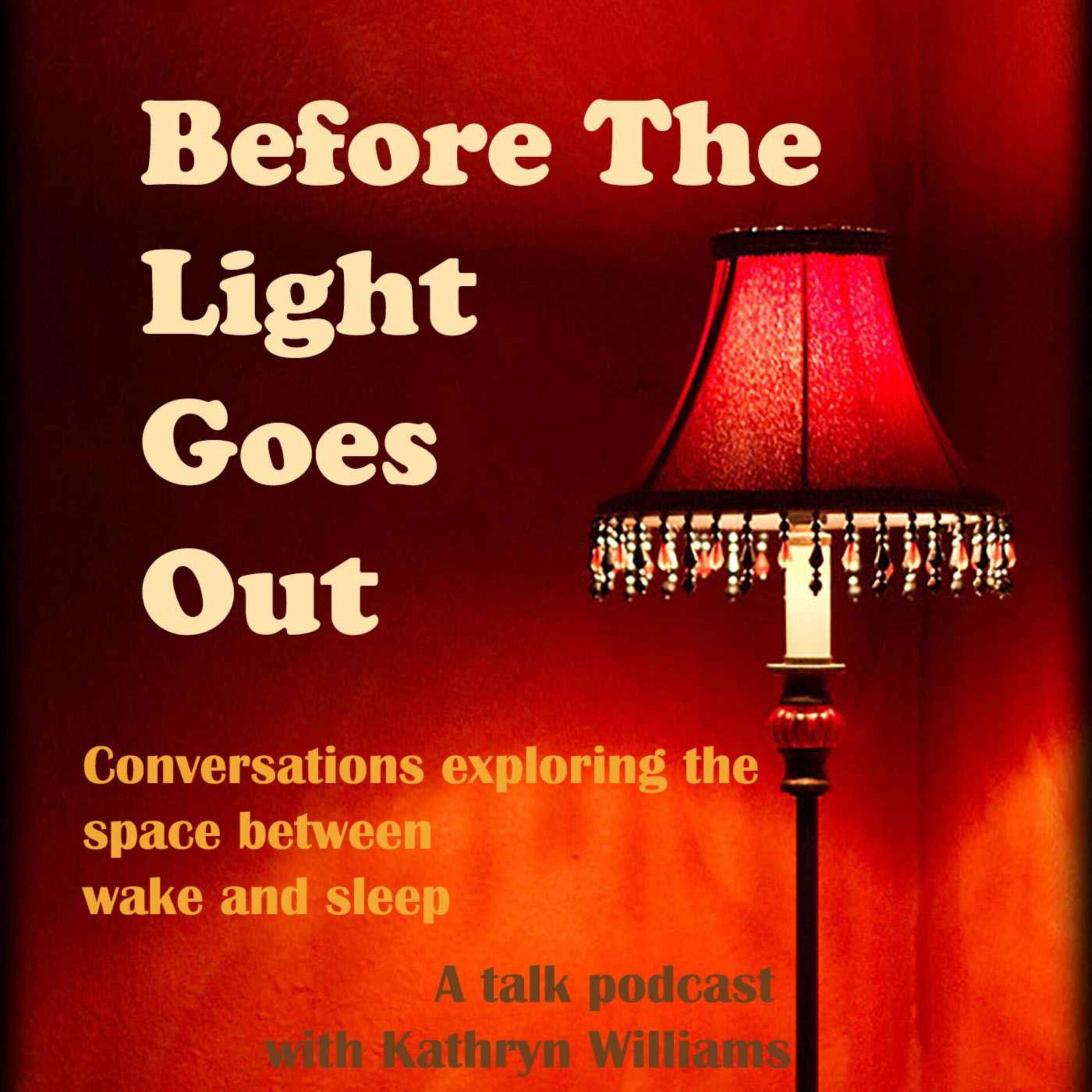 Show cover of Before The Light Goes Out