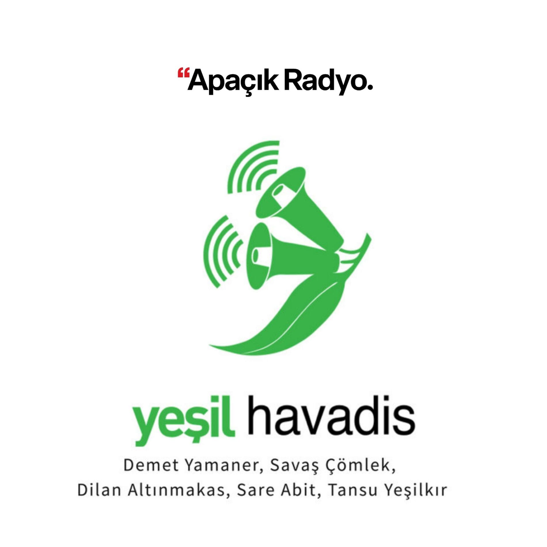 Show cover of Yeşil Havadis