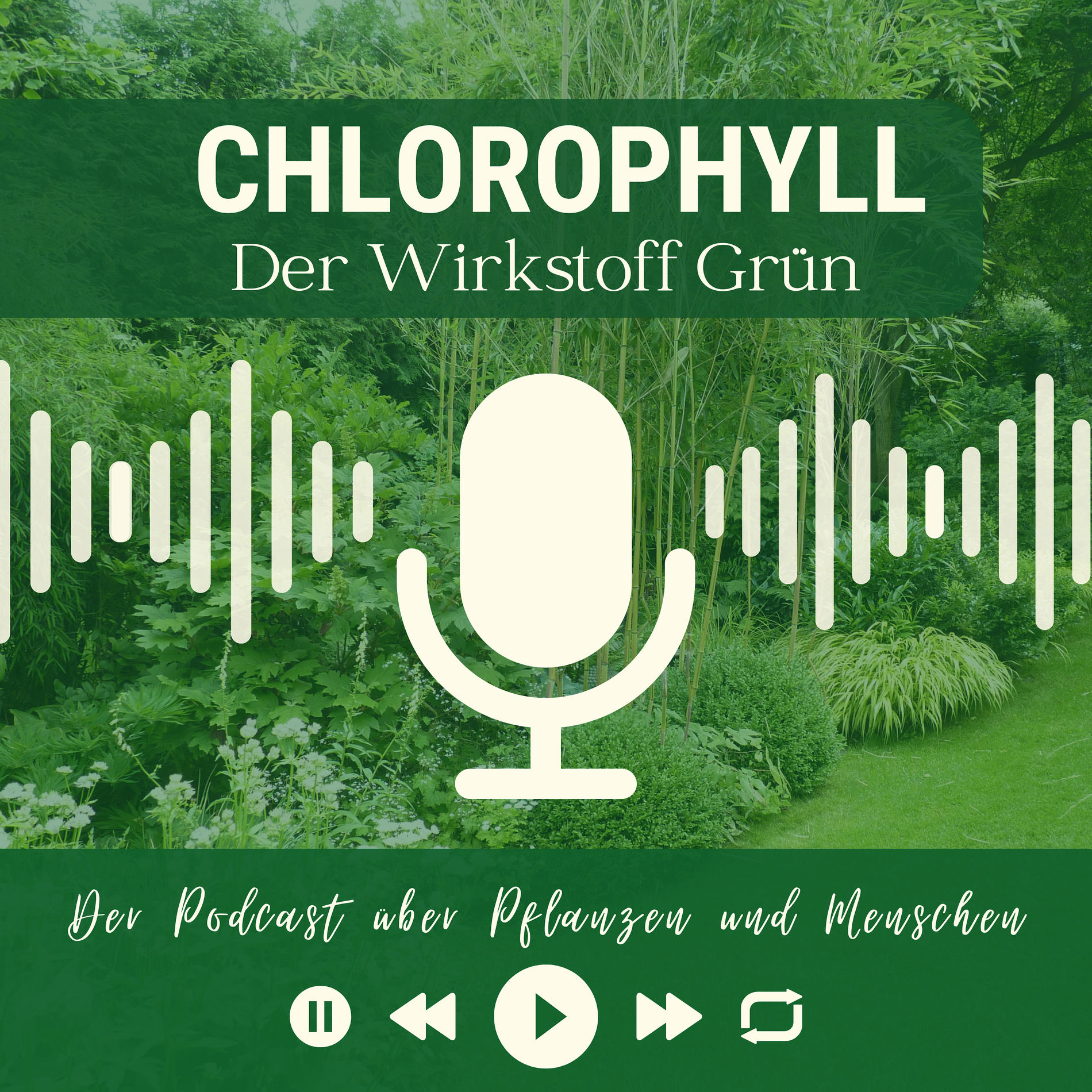 Show cover of CHLOROPHYLL- der Wirkstoff Grün