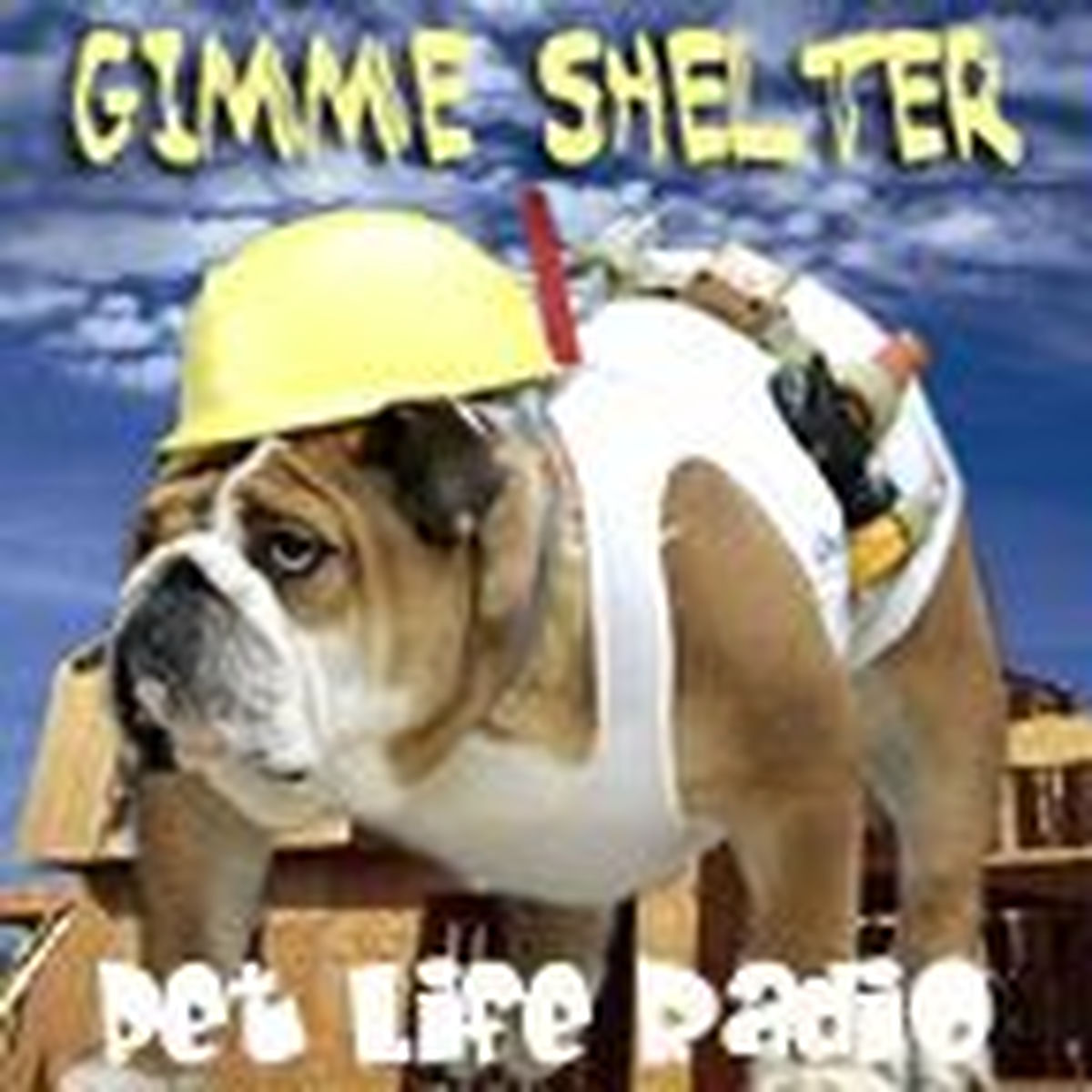 Show cover of Gimme Shelter - Pets & Animals on Pet Life Radio (PetLifeRadio.com)