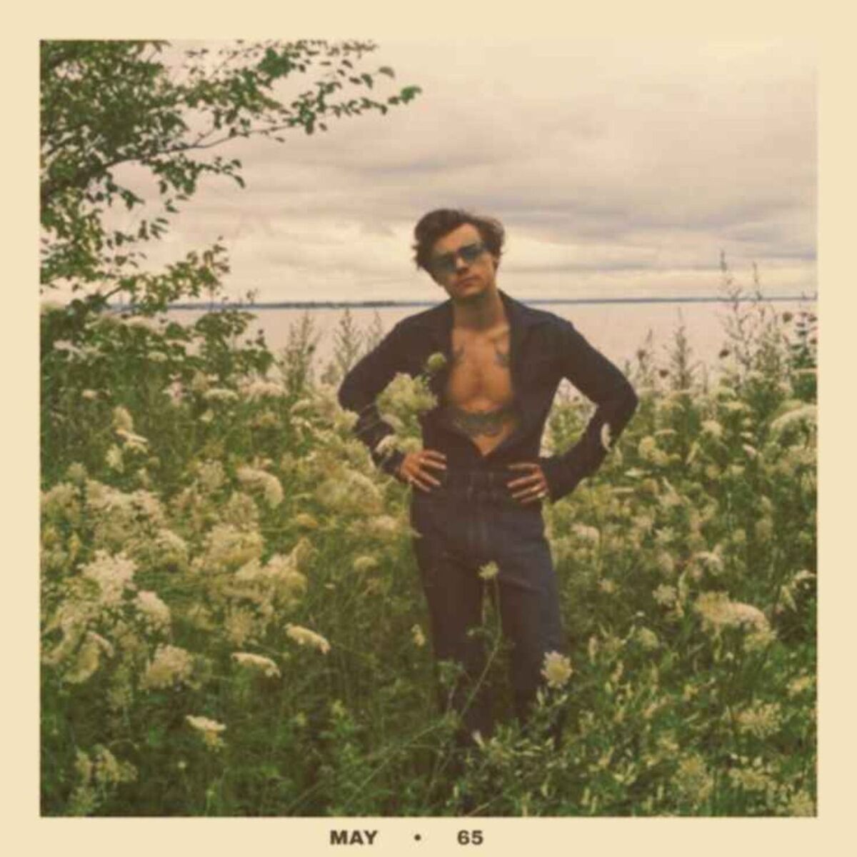 Show cover of hunger - harry styles