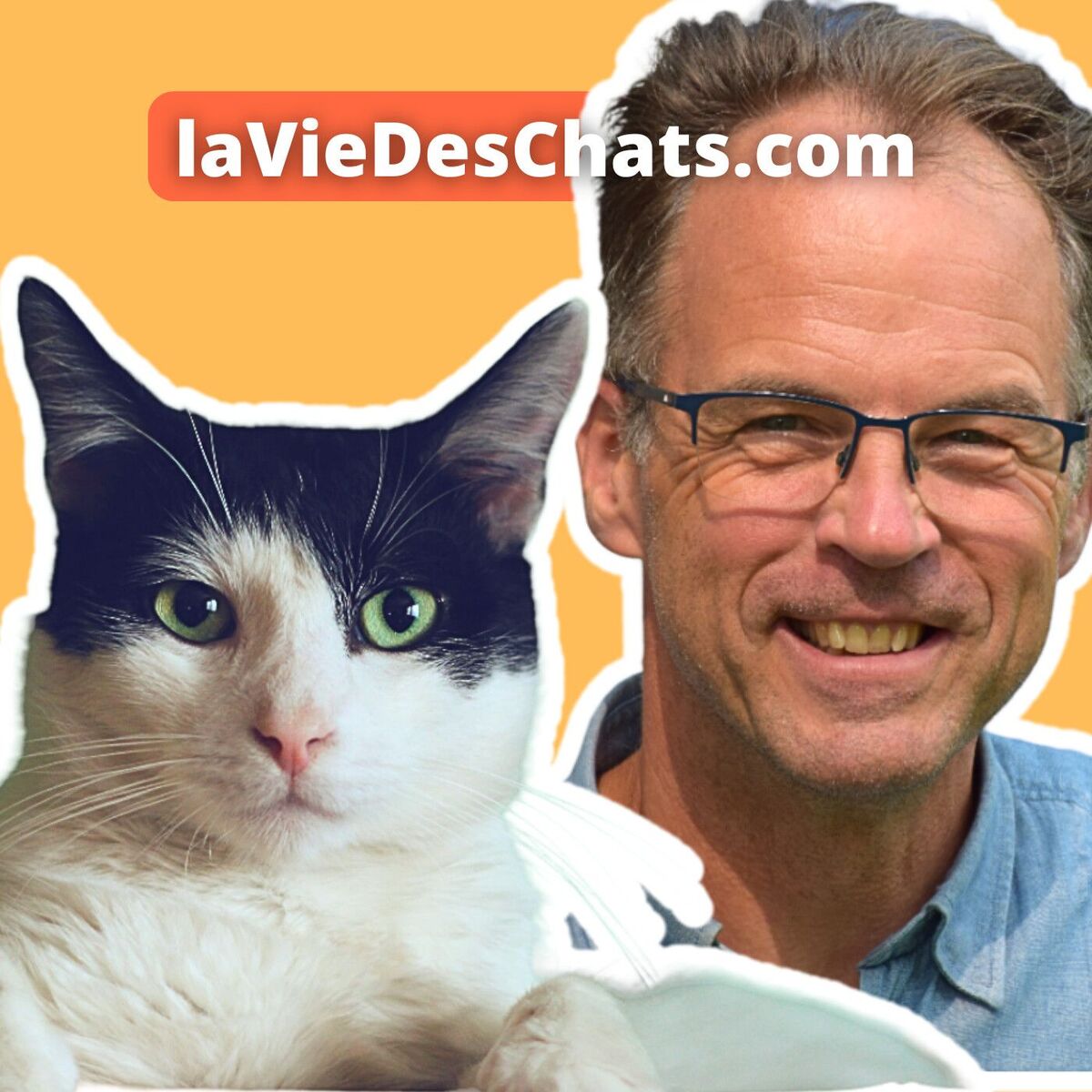 Show cover of laVieDesChats