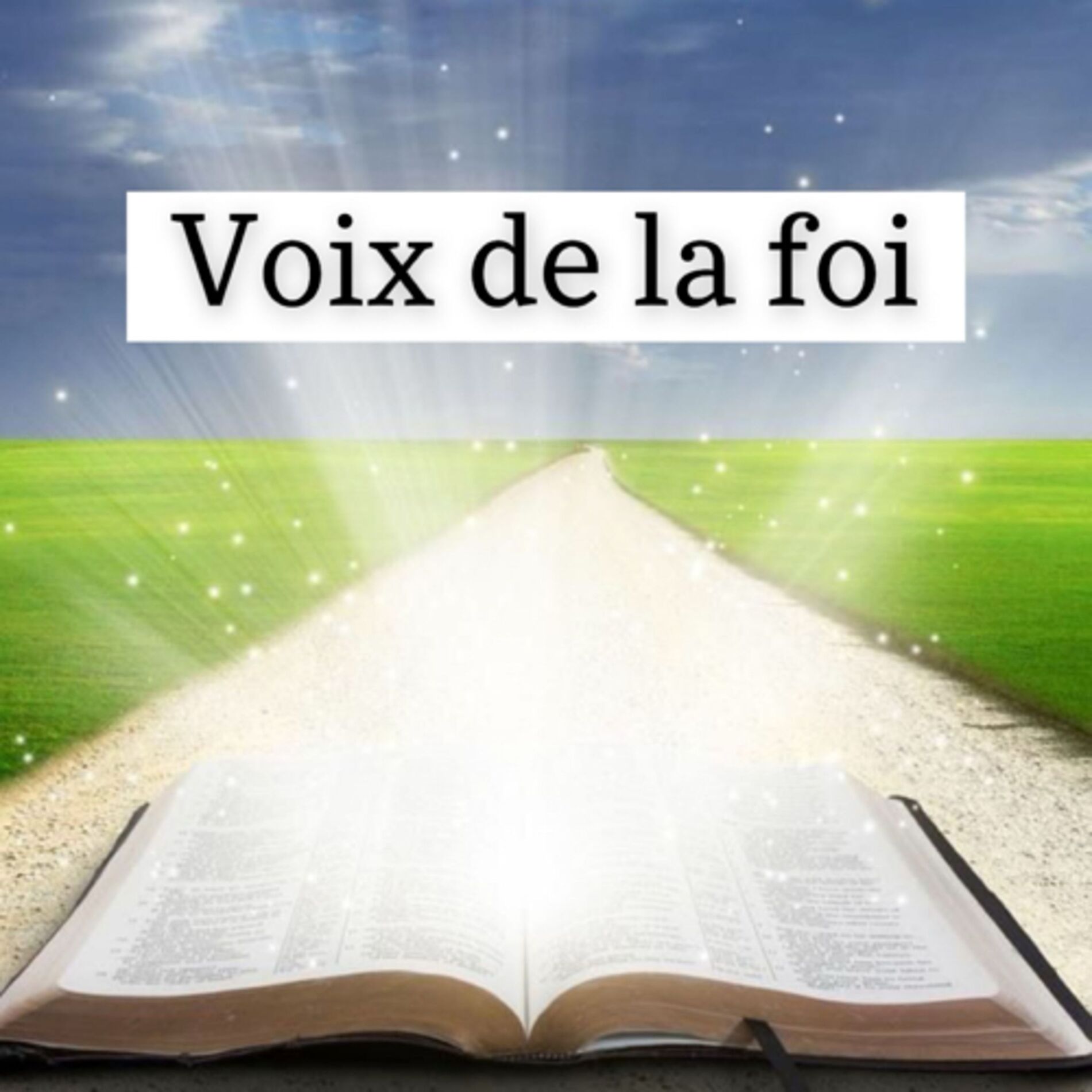 Show cover of Voix de la foi