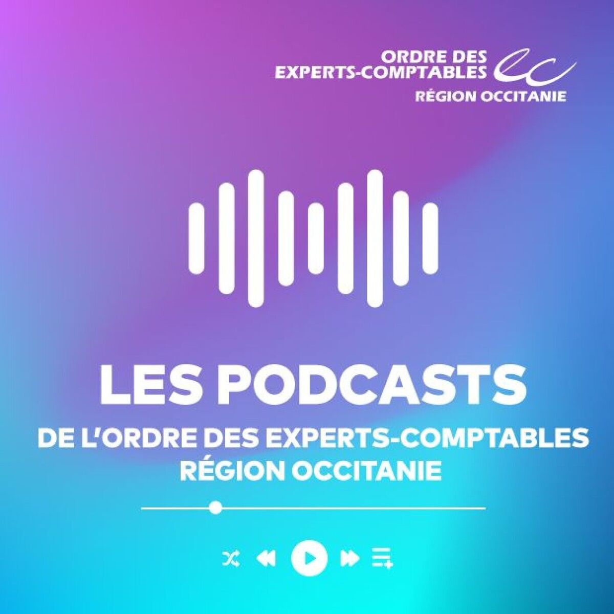 Show cover of Les Podcasts de l'Ordre des Experts-Comptables Région Occitanie