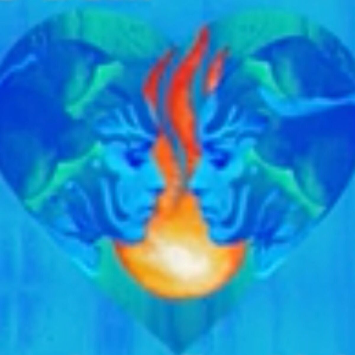 Show cover of Flammes Jumelles Universelles