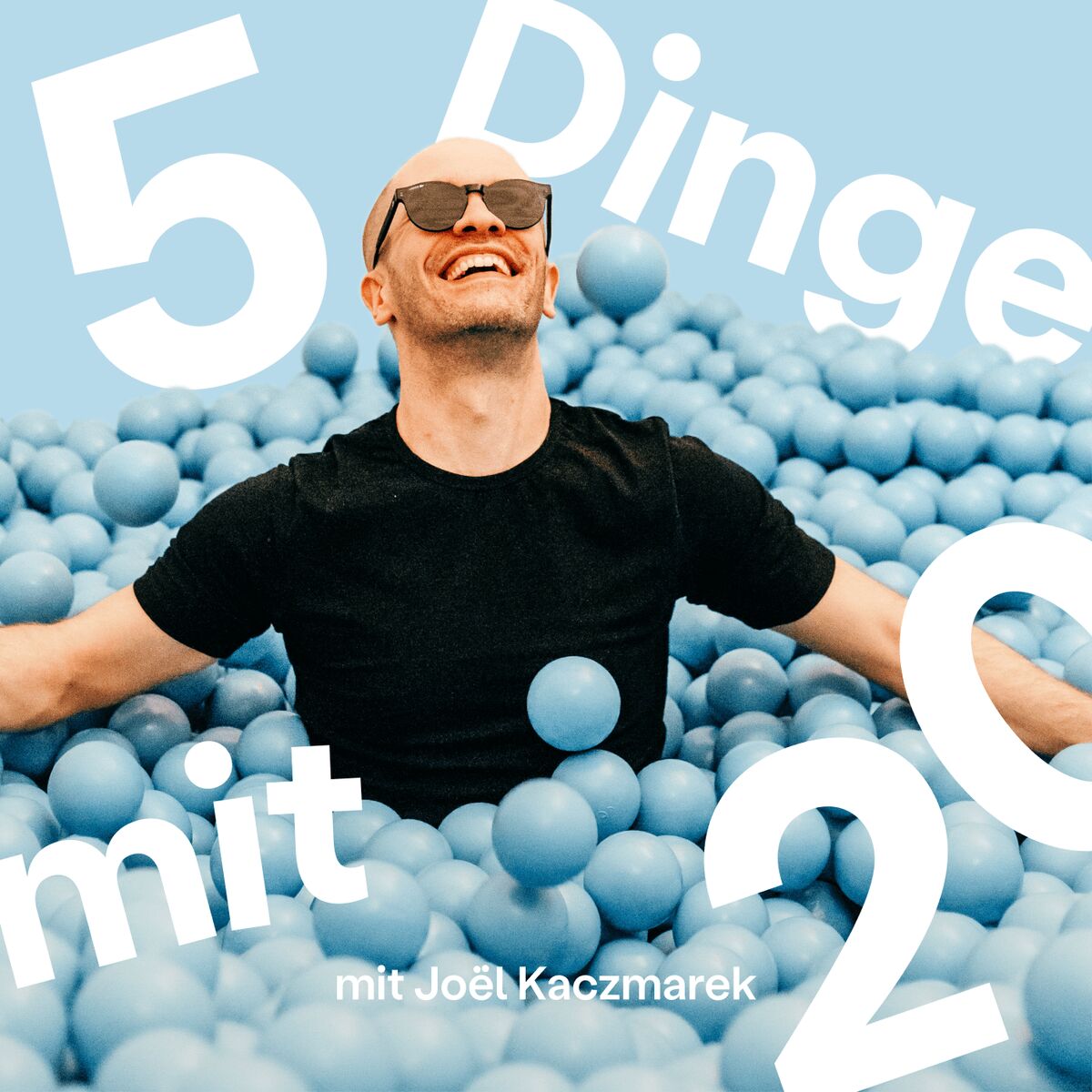Show cover of 5 Dinge mit 20