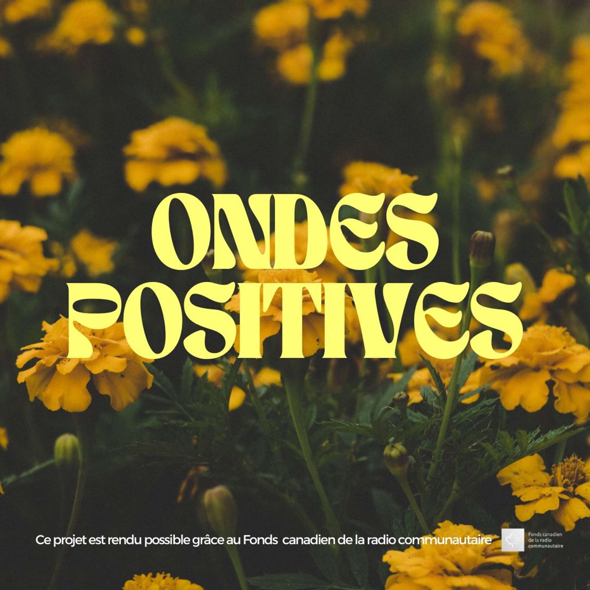 Show cover of Ondes Positives sur CHOQFM 105.1