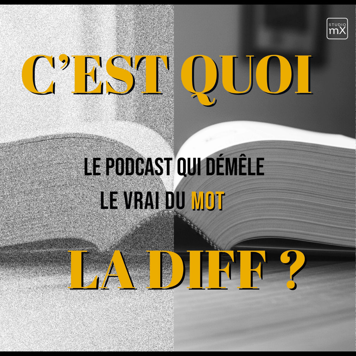 Show cover of C’est quoi la diff ?
