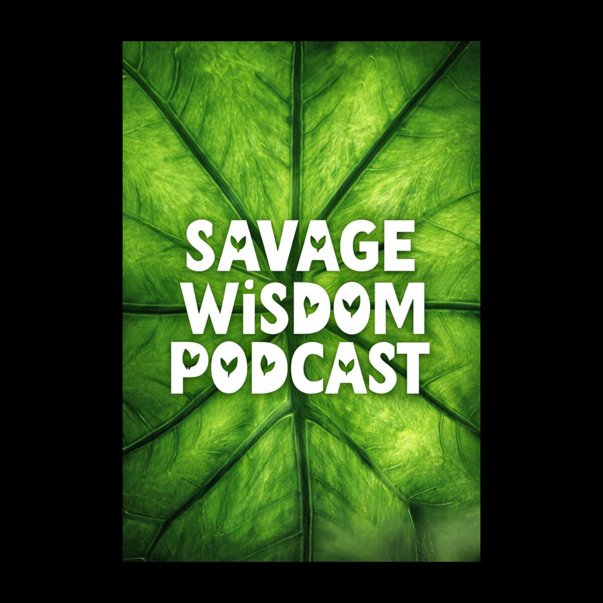 Show cover of Savage Wisdom Podcast