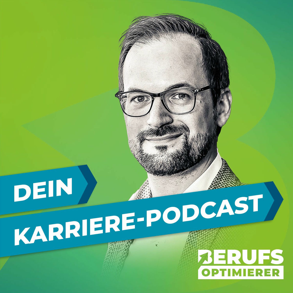 Show cover of Berufsoptimierer - Erfolg in Bewerbung und Karriere