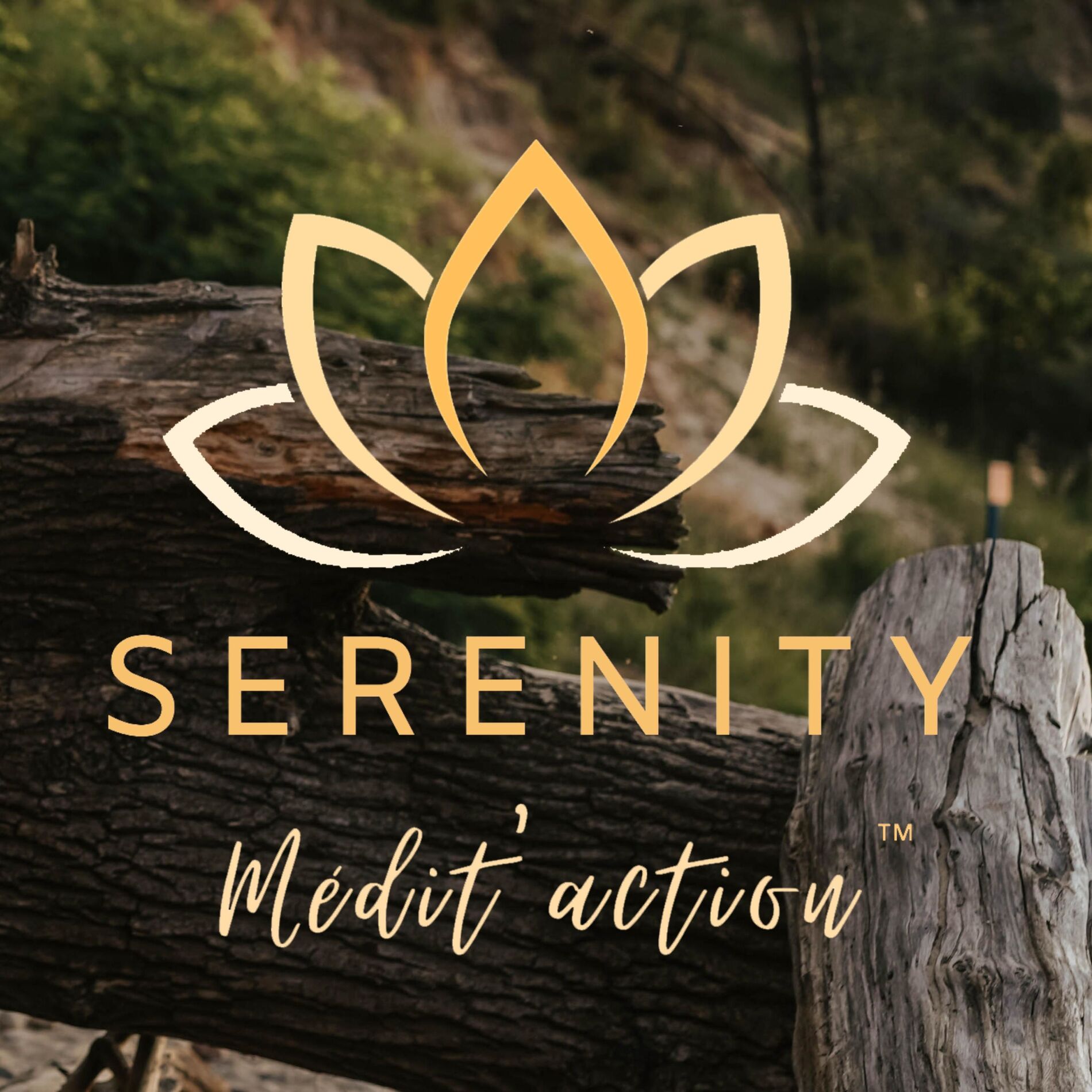 Show cover of Serenity Médit'action - le podcast