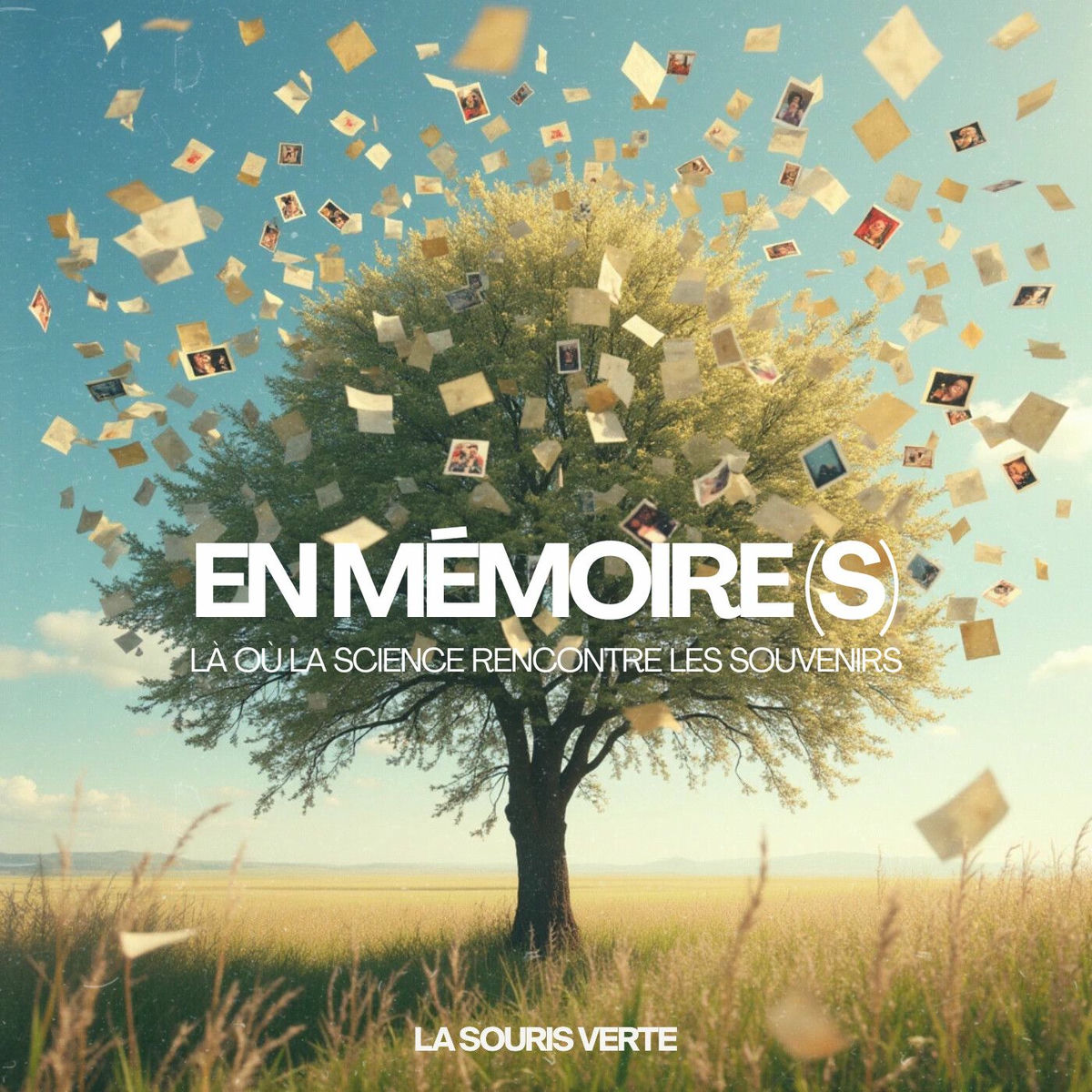 Show cover of En mémoire(s)