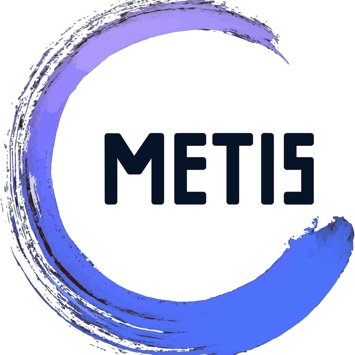 Show cover of METIS Wisdom Talks at ETH Zurich
