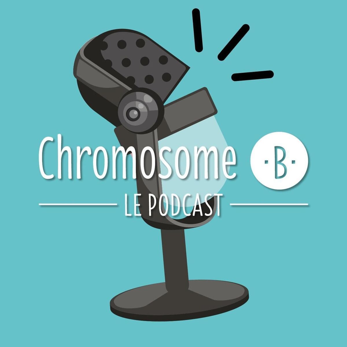 Show cover of Chromosome B.