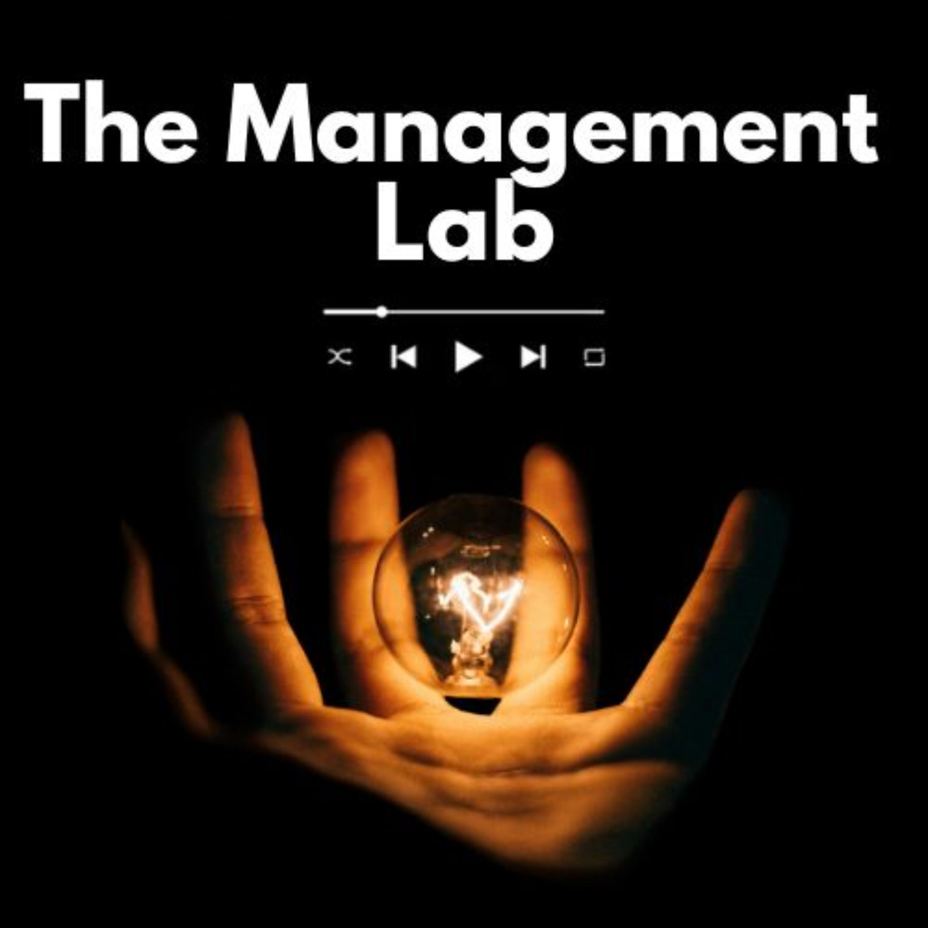 Show cover of The Management Lab