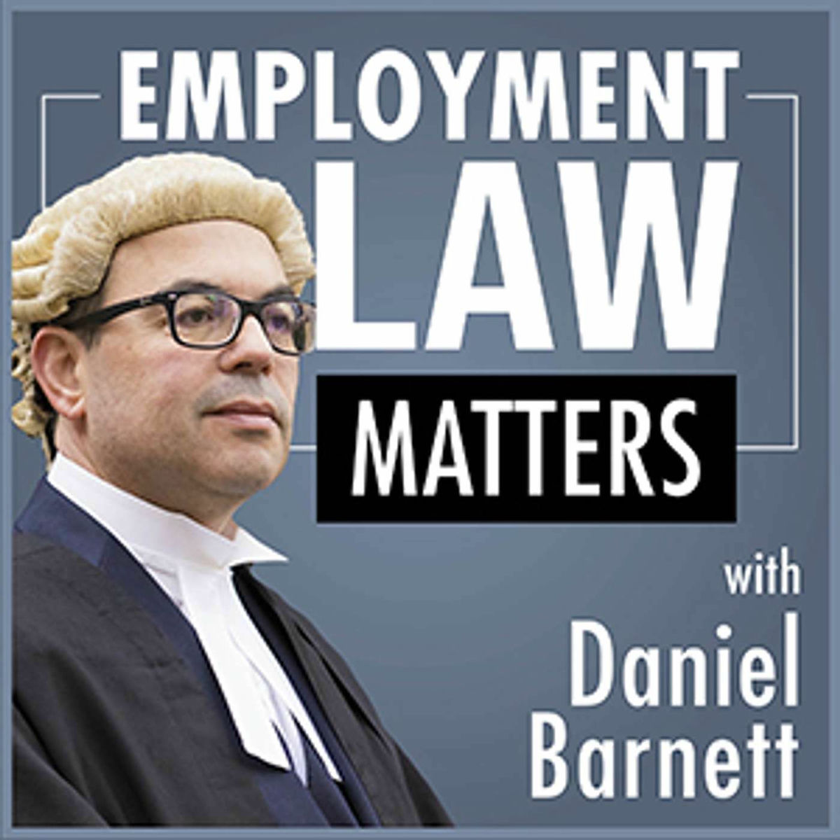 Show cover of Employment Law Matters