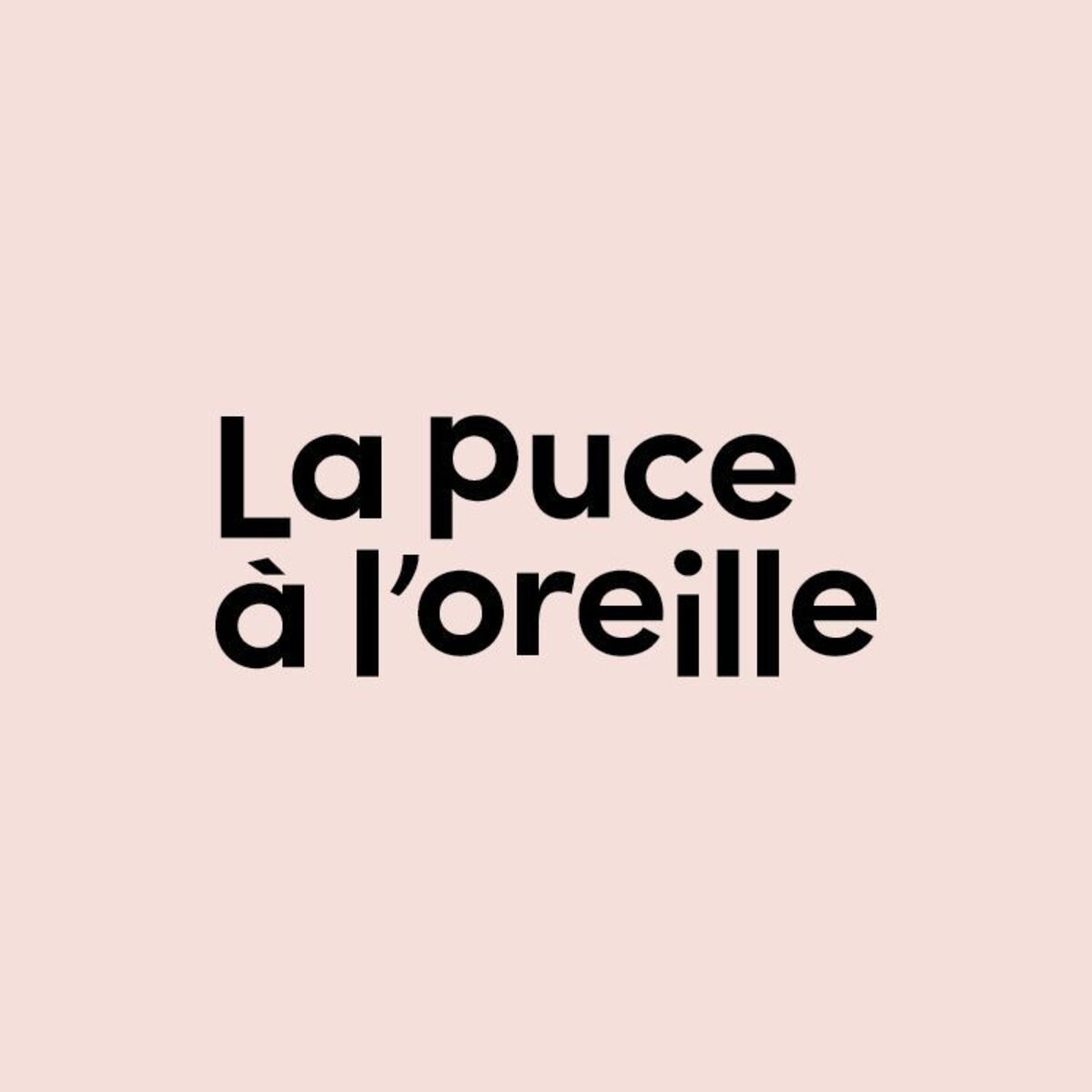 Show cover of Podcasts pour enfants - La puce à l'oreille