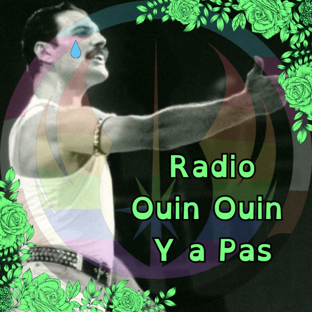 Show cover of Radio Ouin Ouin Y a pas
