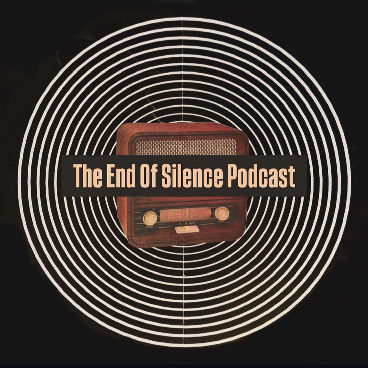 Show cover of The End Of Silence Podcast