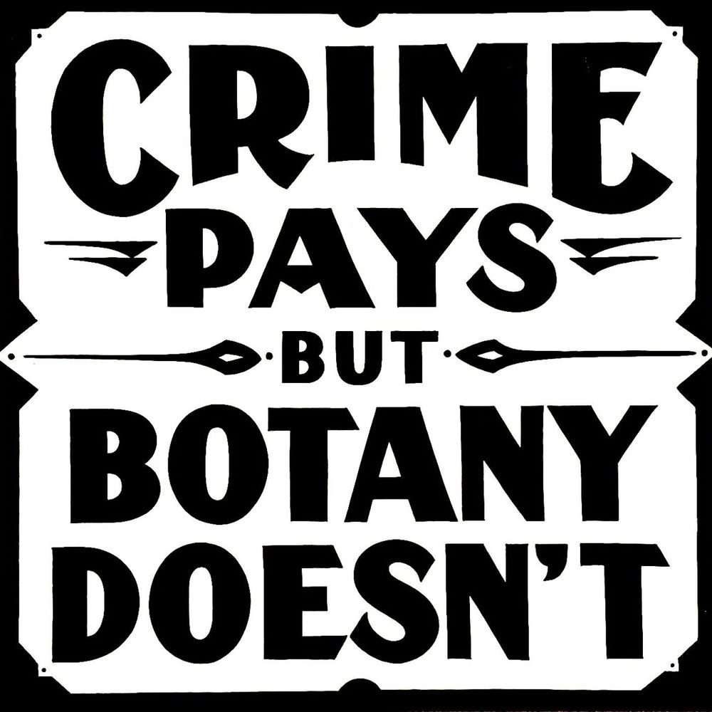 crime pays but botany doesn t net worth - Ilustrasi 2