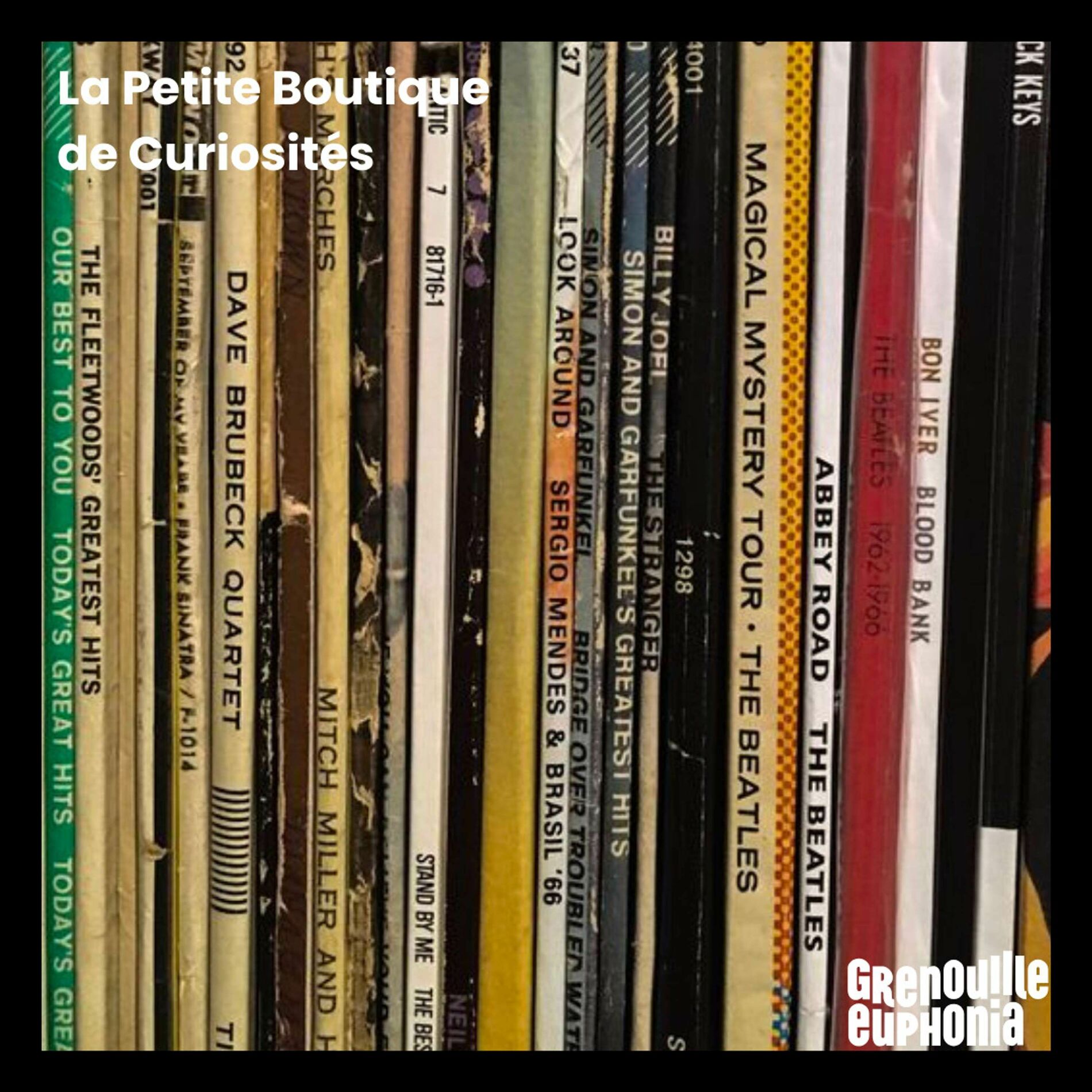 Show cover of La Petite Boutique De Curiosités - Dr Zoom