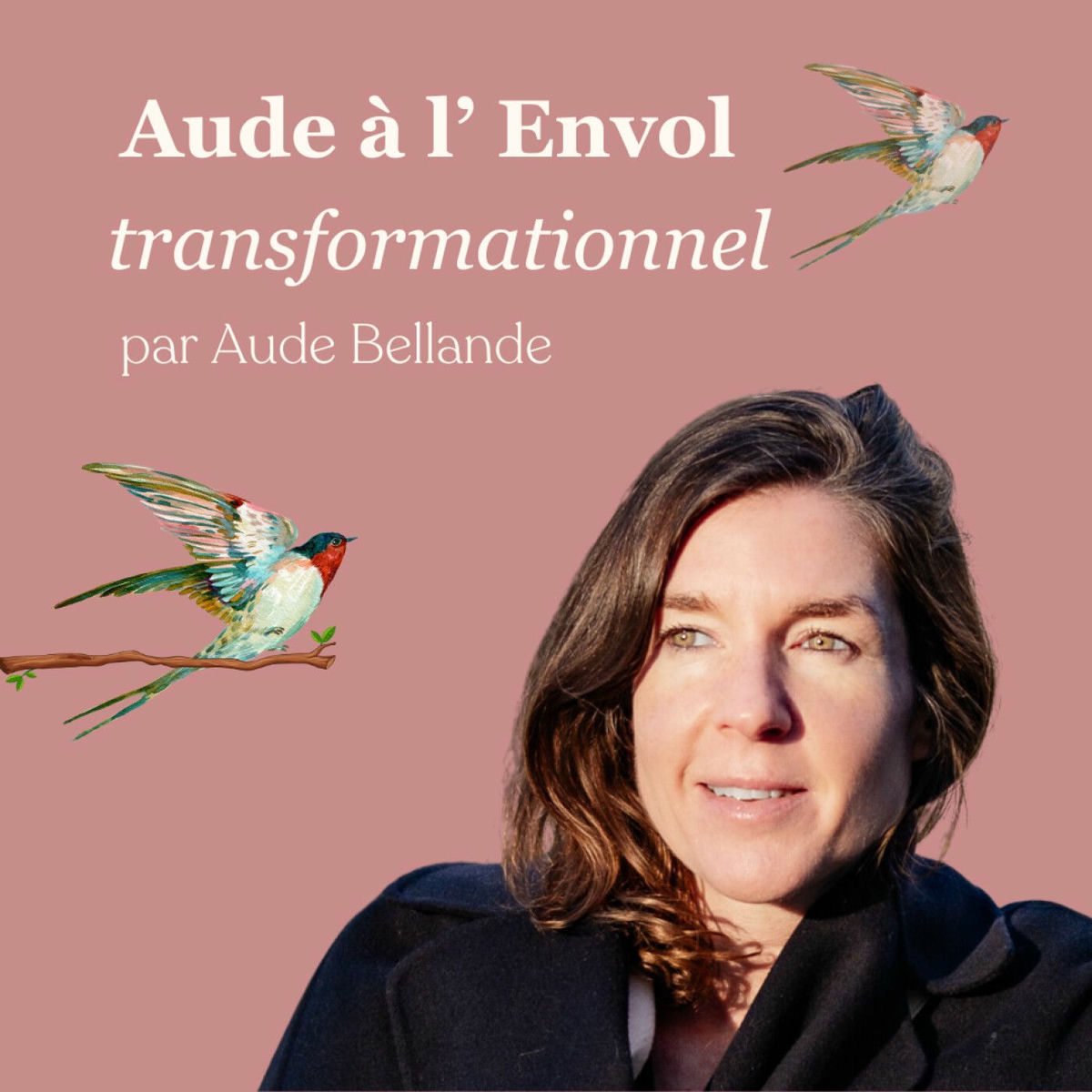 Show cover of Aude à l'Envol transformationnel